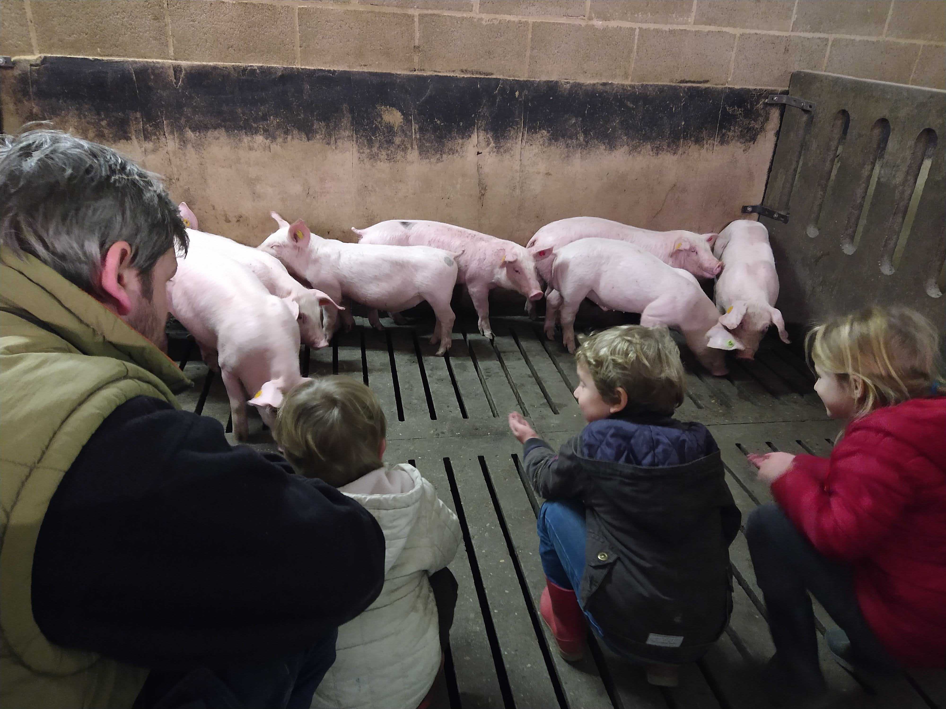 IMG 20210219 110434359