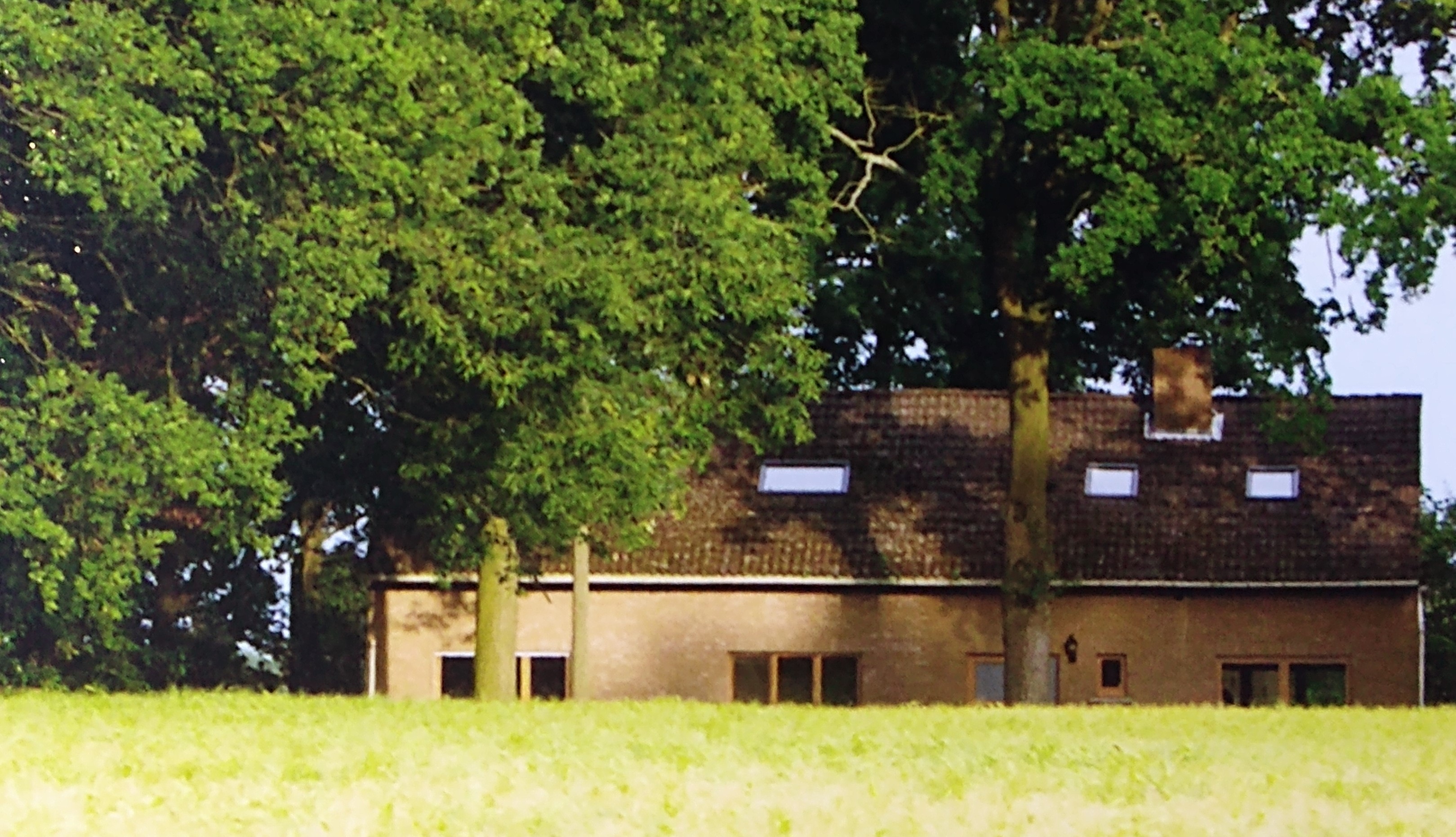 IMG 20220114 165036913 2