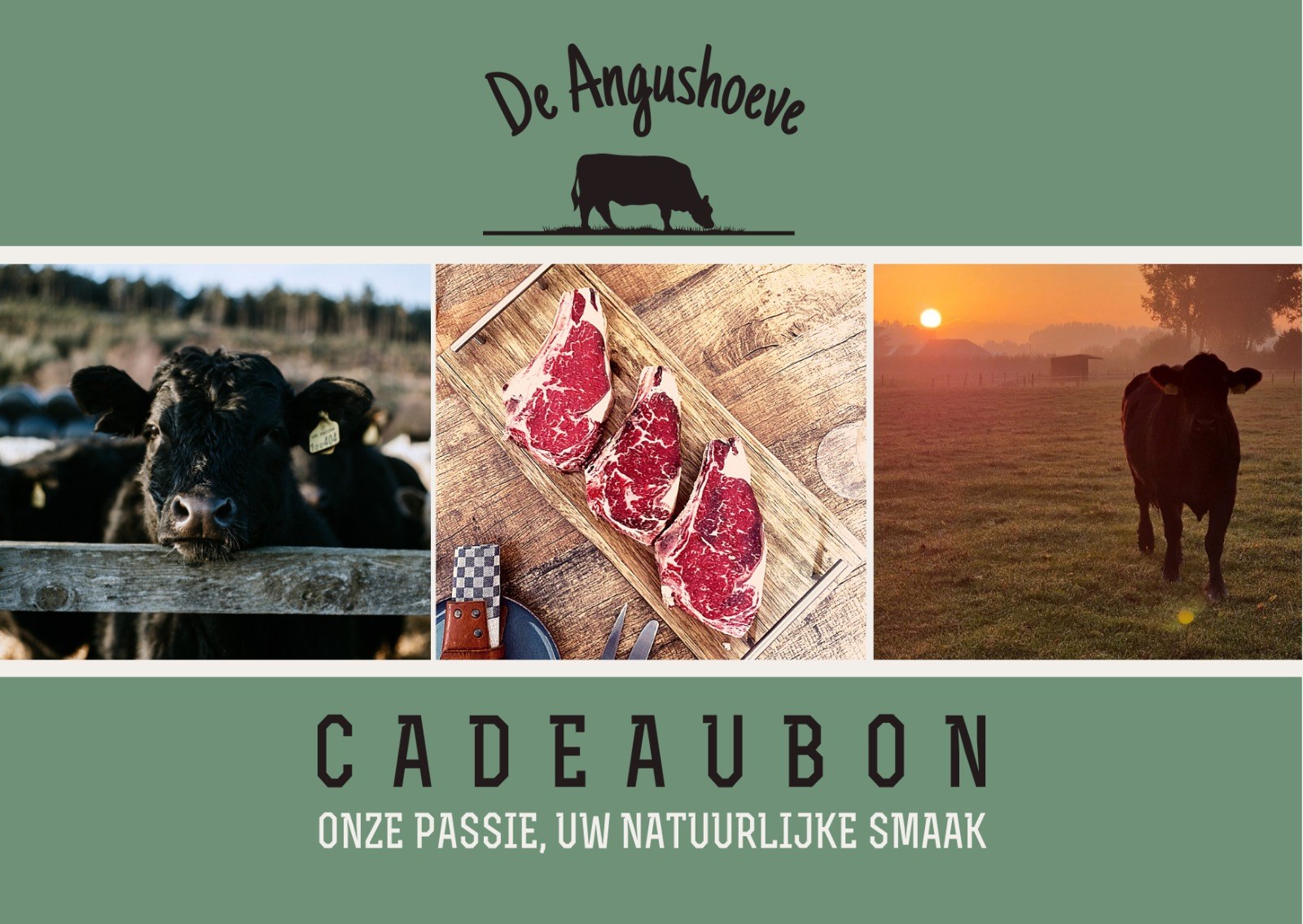 Whats App Image 2022 12 08 at 12 28 50