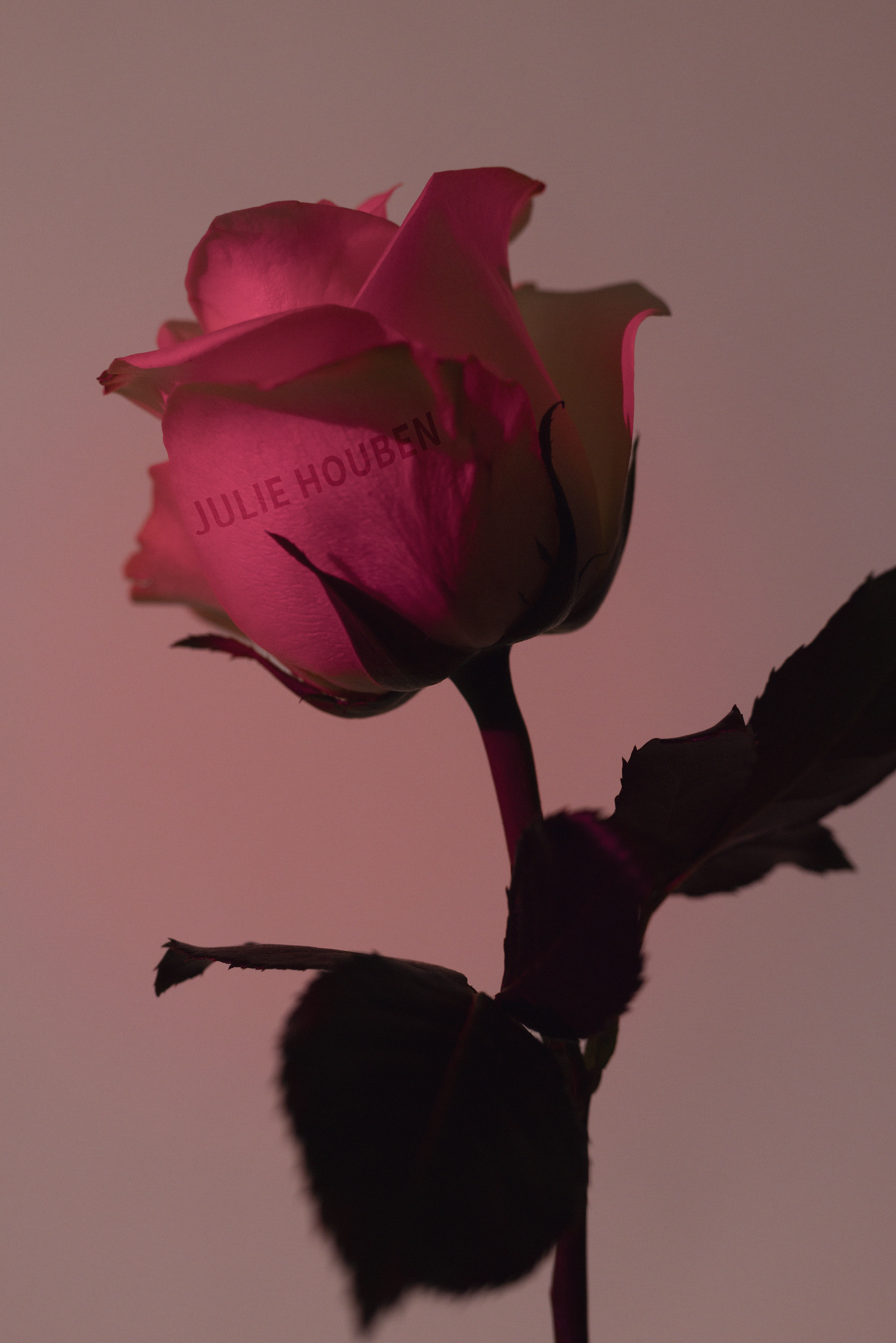 X5 A0411a2 kopiëren