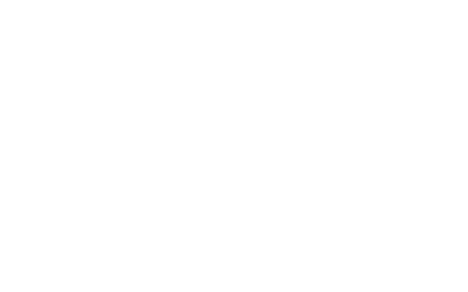 Flair logoooooo