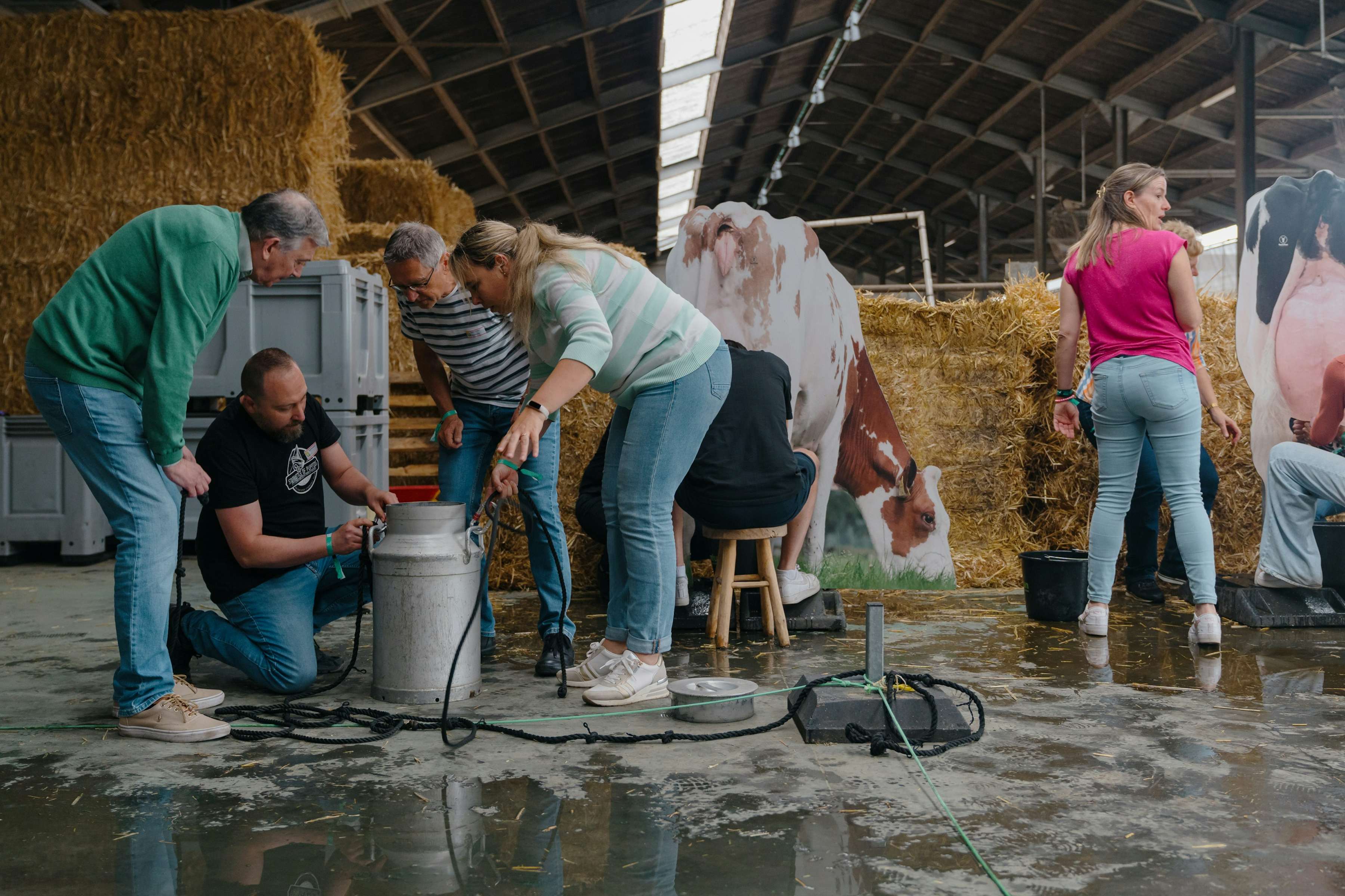 Farmfun FarmFun - Koeweidehof