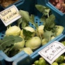 De Kollebloem