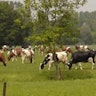 De Langveldhoeve