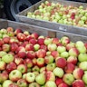 fruitkwekerij Coppens