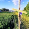 Hofke Bunders