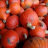 't Uilenbos