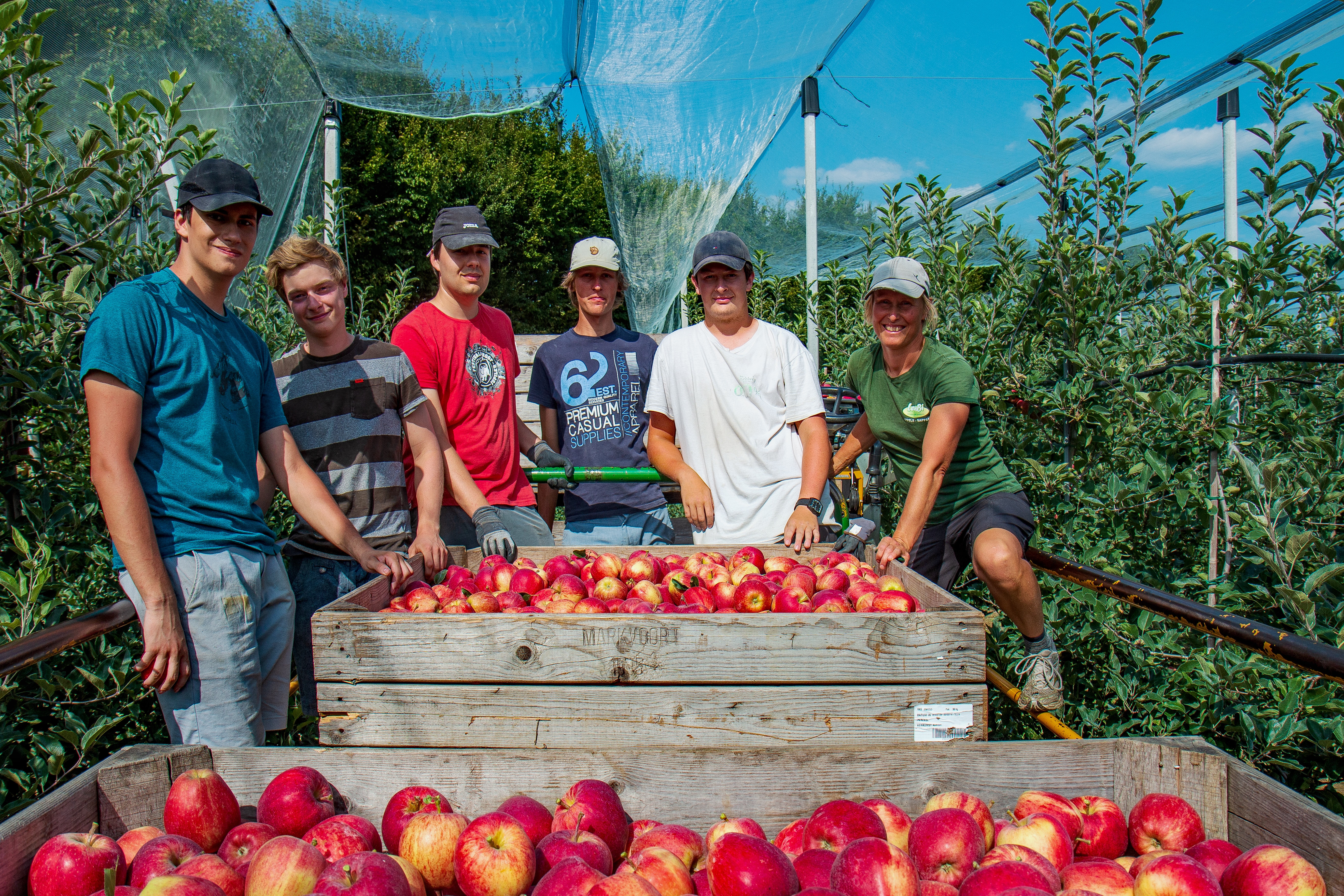 Plukploeg student 2022