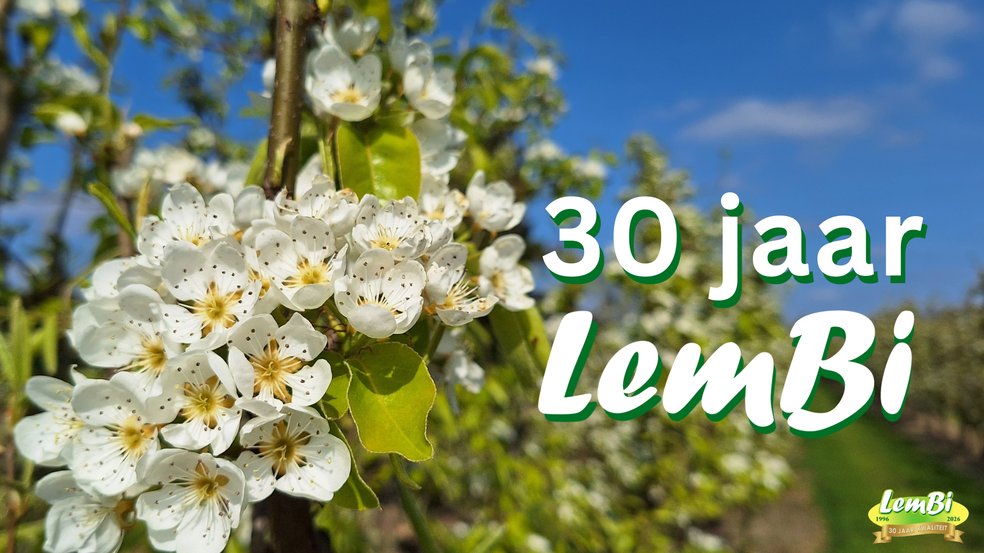 Lem Bis Lente Bloesemdag Affiche 3