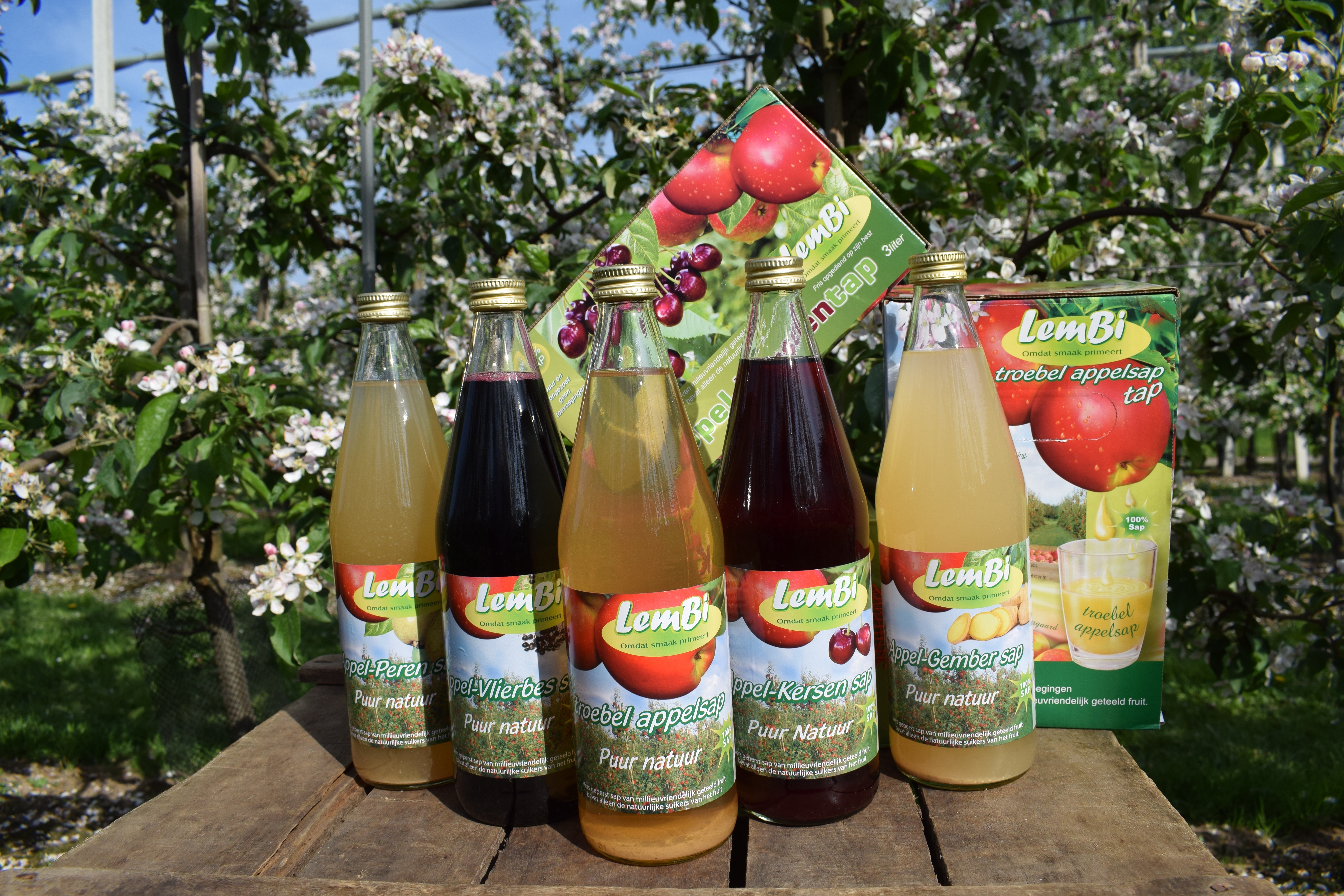 Alle sappen groot tap