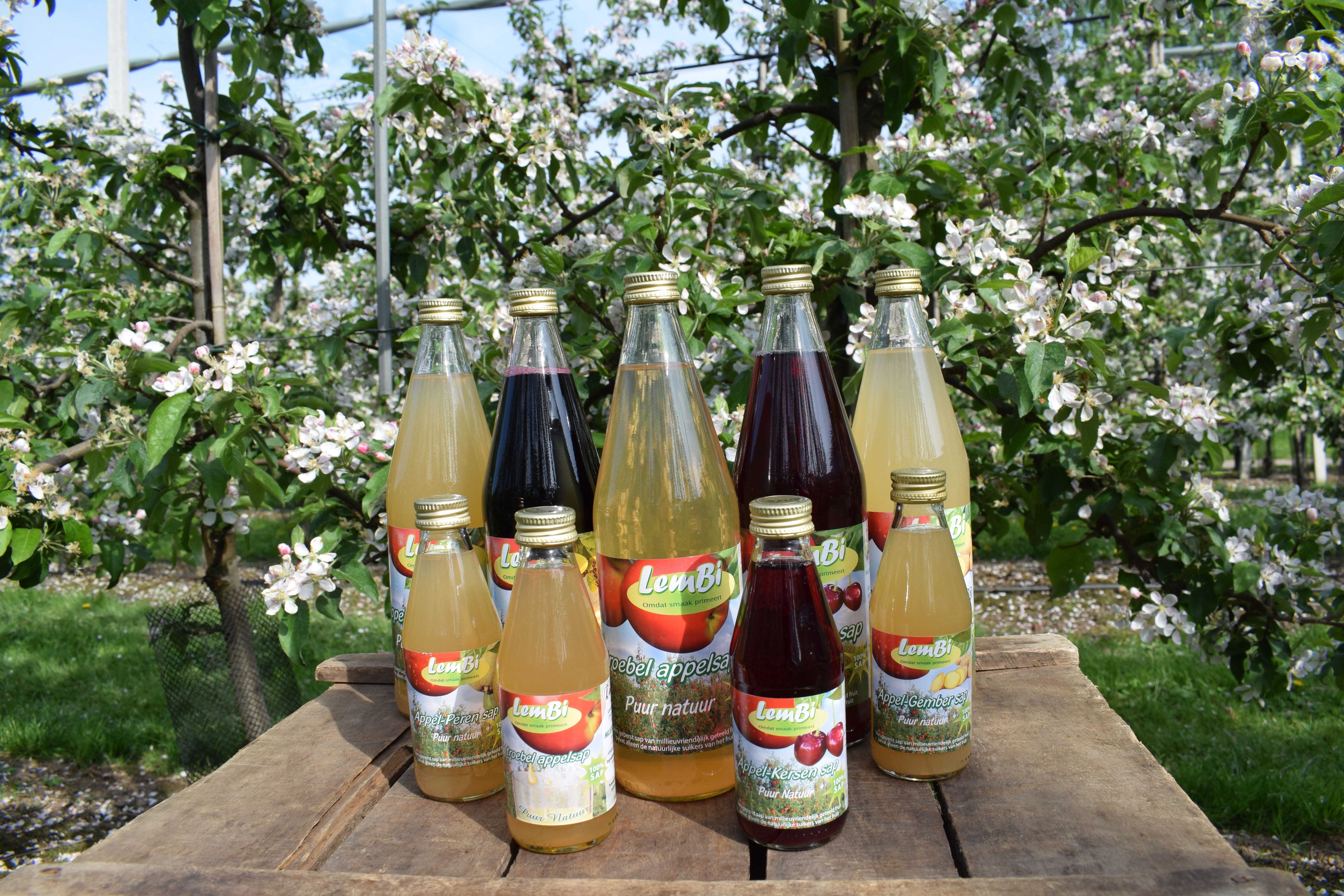 Alle sappen grootklein