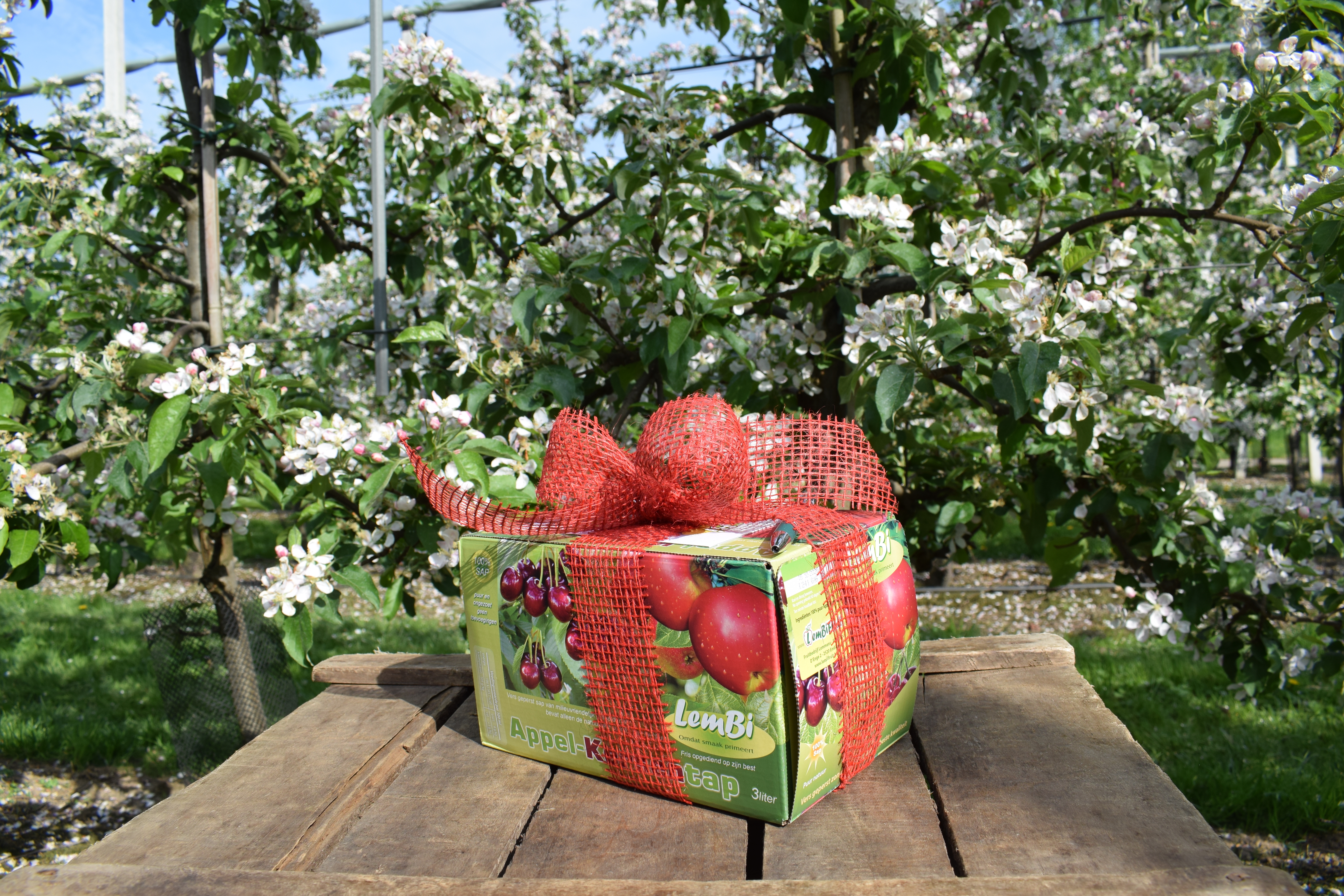 GVP Appel kersentap 3l