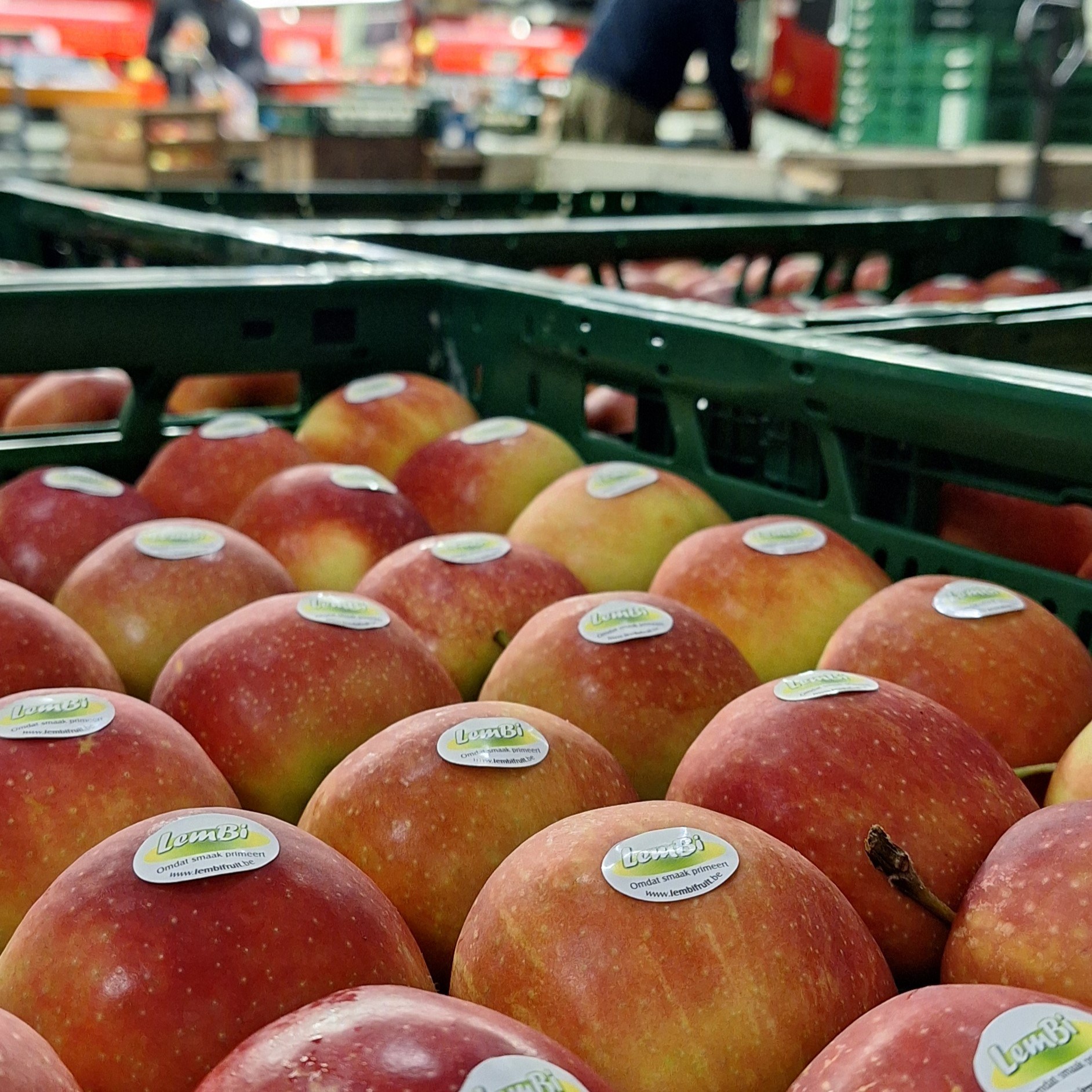 Jonagold stickers lembi sorteren square