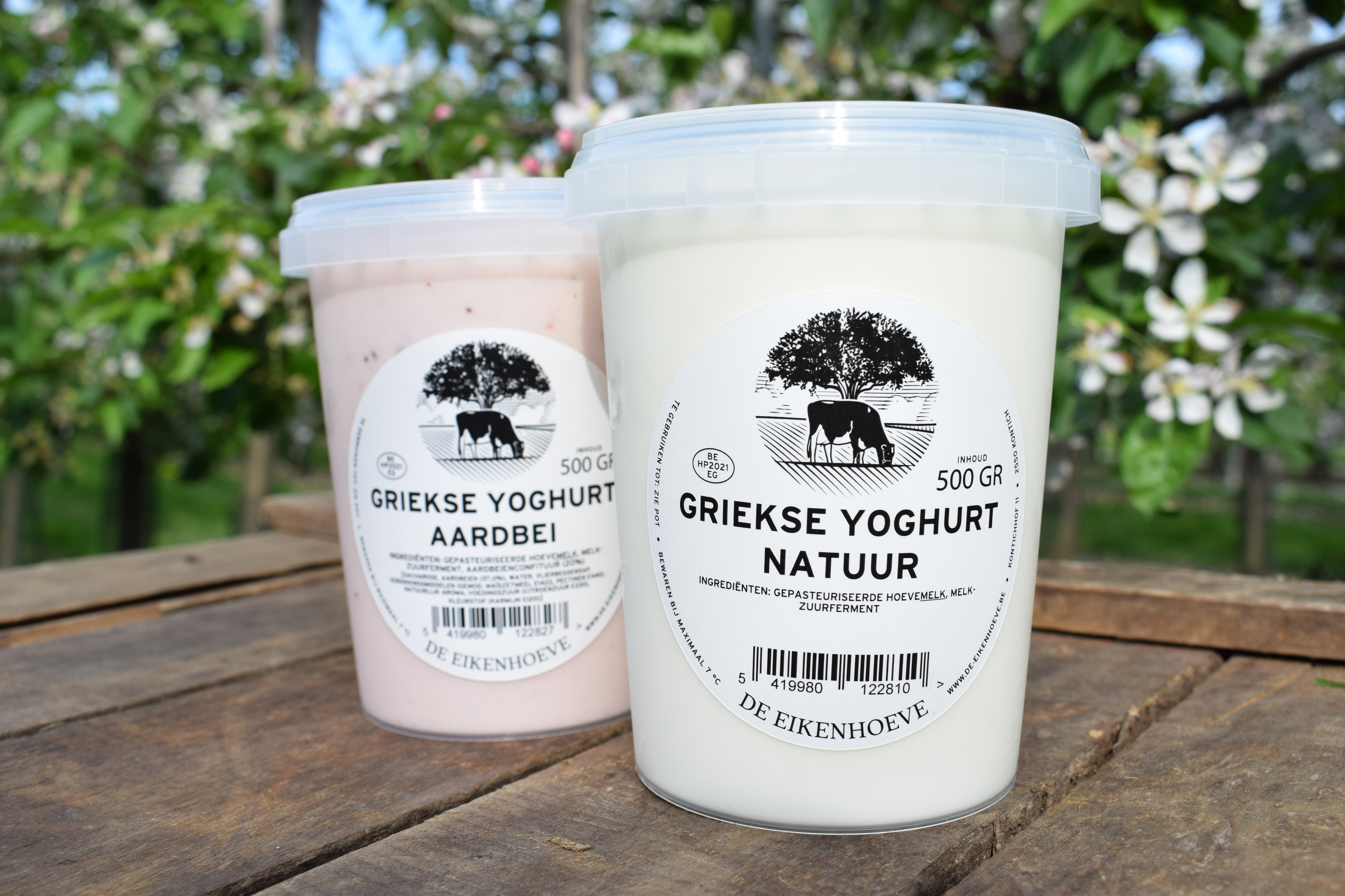 Griekse yoghurt LemBi-2soorten