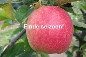 Appels sissired ES