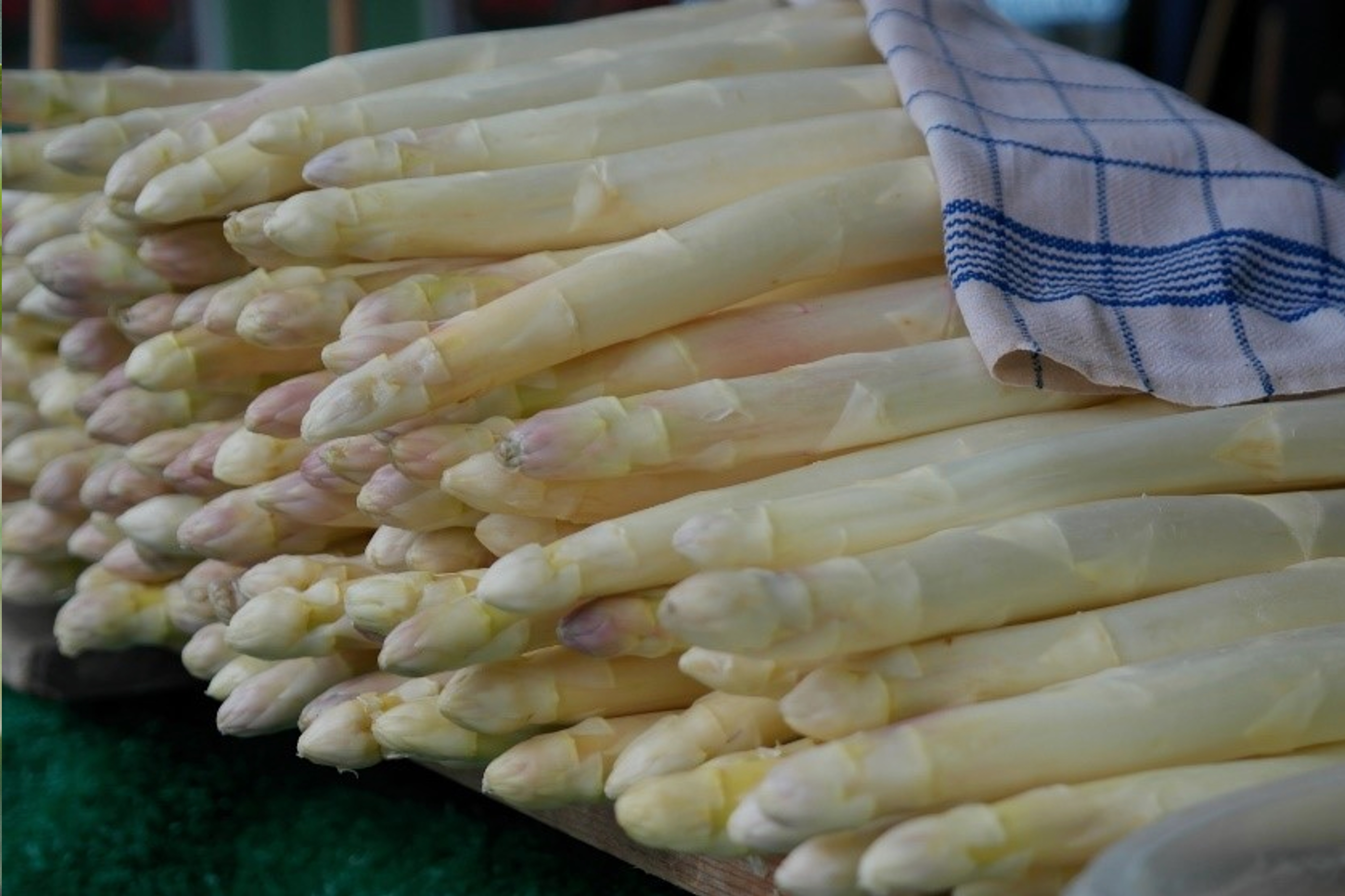Asperges