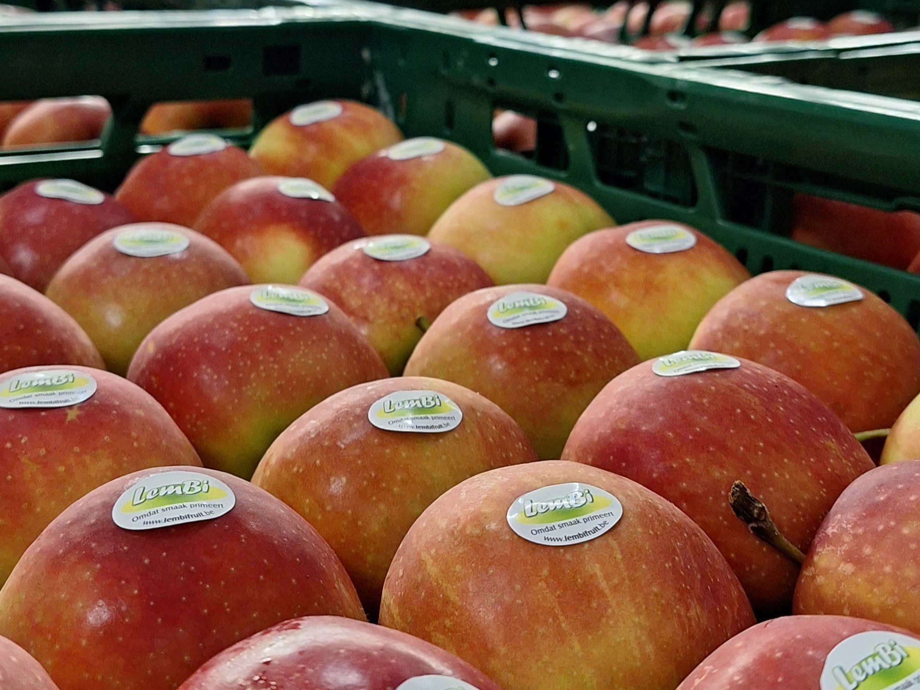 Jonagold stickers lembi sorteren 4 3