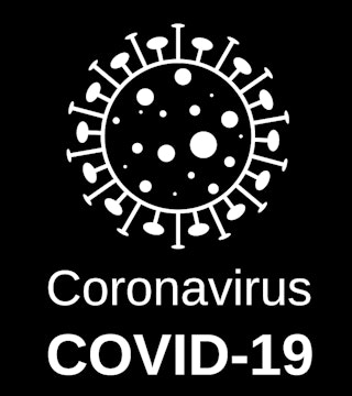 Virus 4915859 1920
