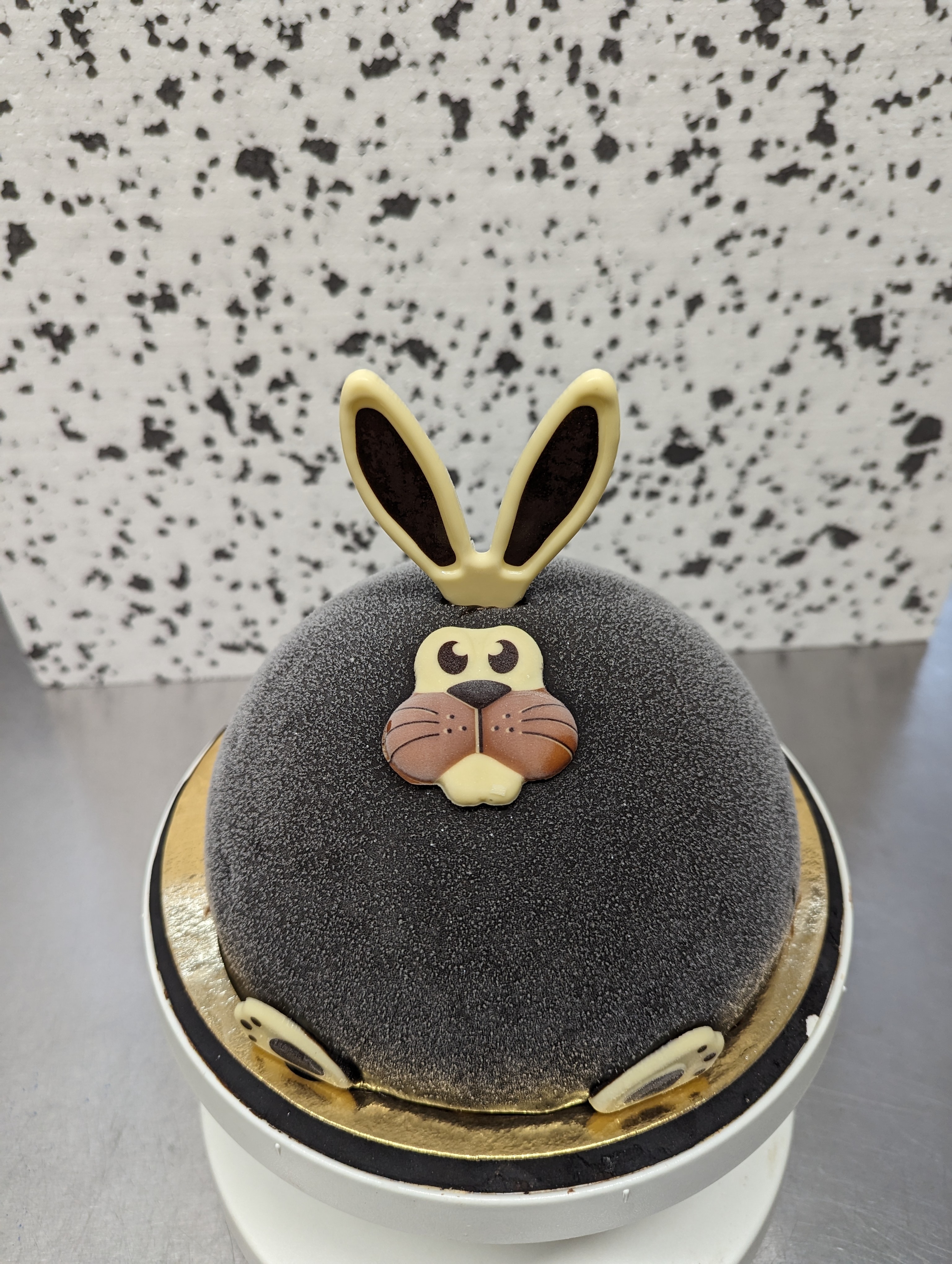 PXL 20240322 143451905