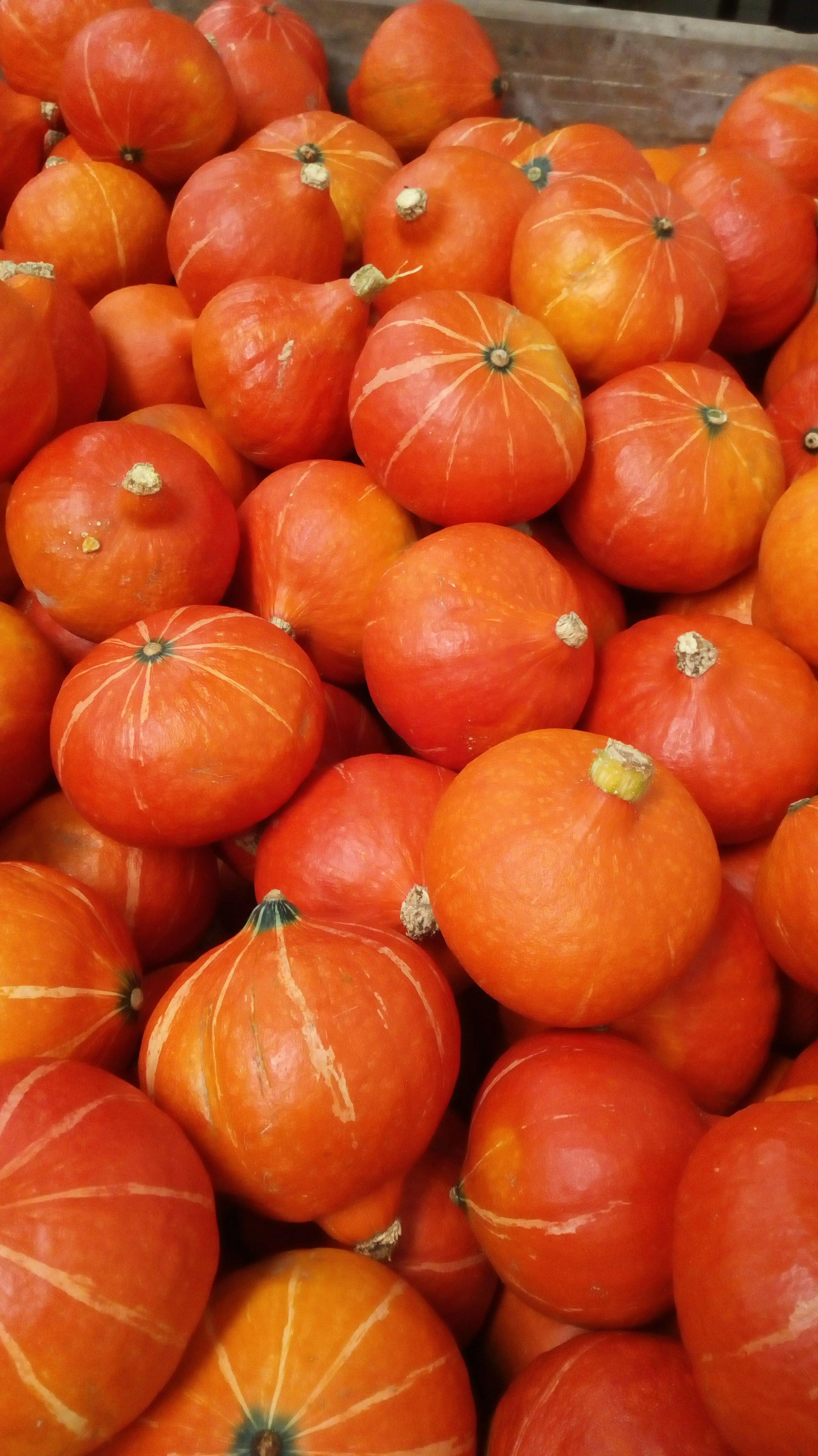 DE WARMSTE WEEK ....POMPOENSOEP