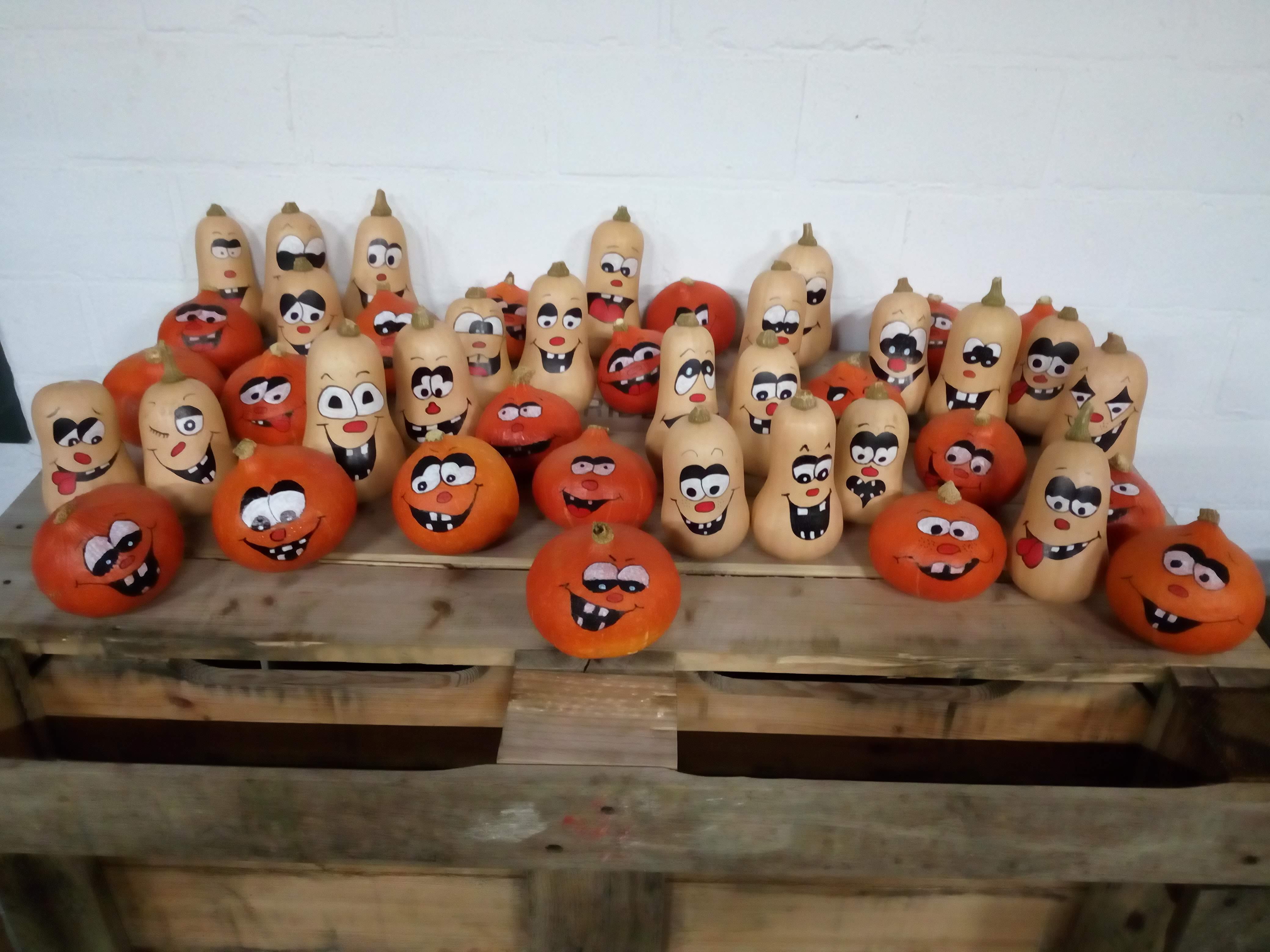 Natuurschool DE RITSHEUVEL (Puivelde)  op bezoek