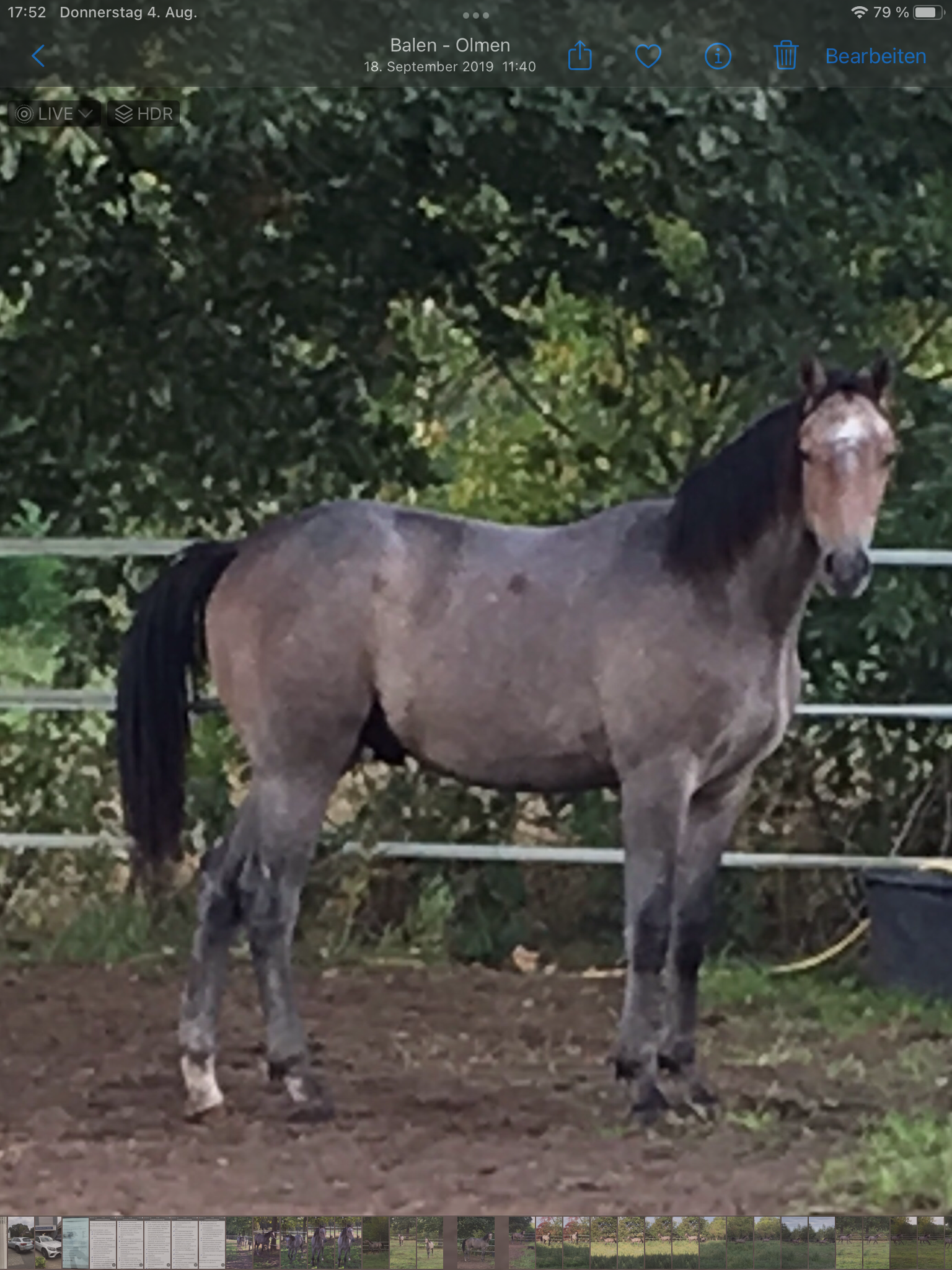 Sir Untouchable Van Moretus