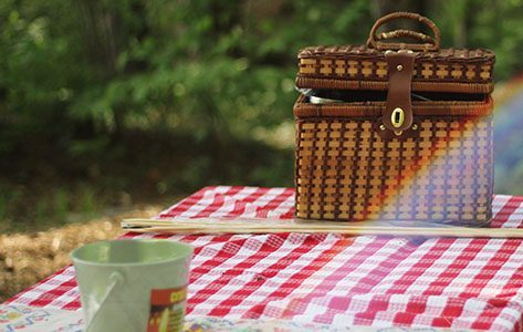 Picnic olerjmwjduq7drkbo4vly27z8yohi17y46jc11rnco