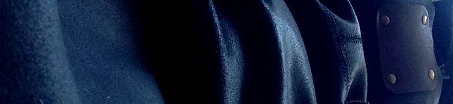 Main header ringen Blue