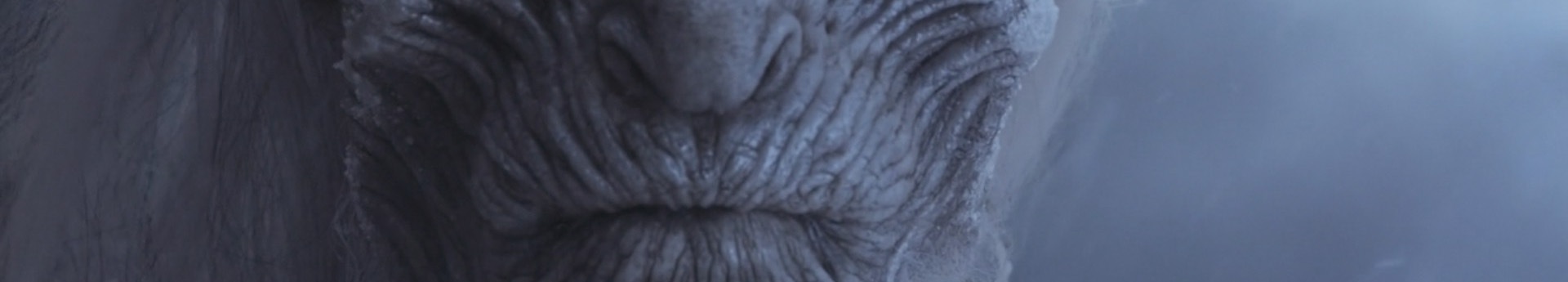 Main header ringenwhite