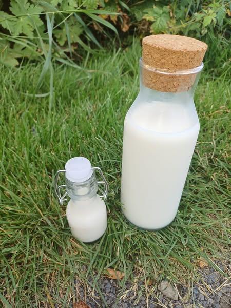 2024 hoevepicknickmelk