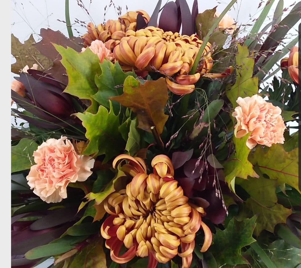 0c8cb854 c197 4e41 8944 967c13b07eb2