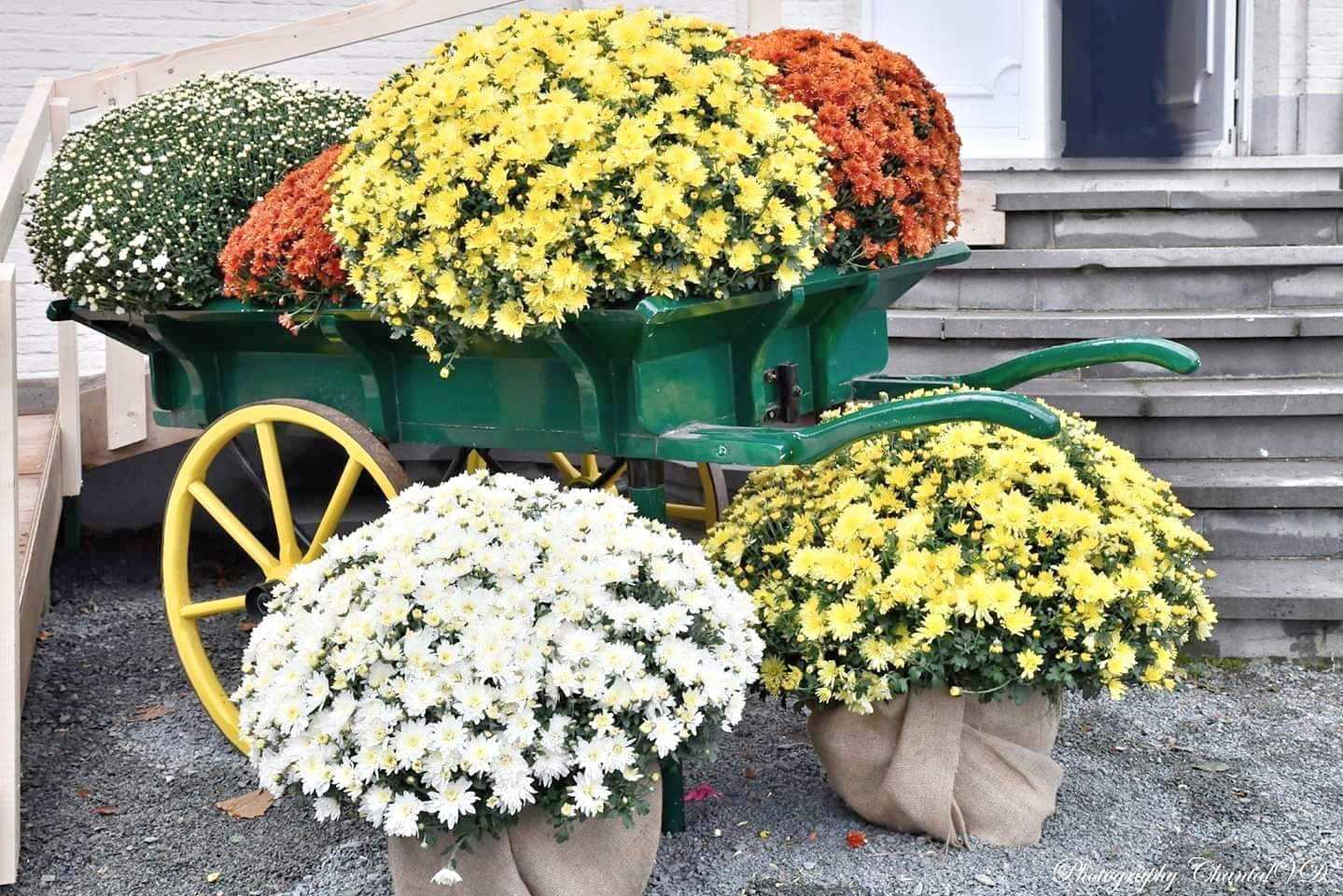 238944f4 856c 4c4e 849b 391212d4a2f1