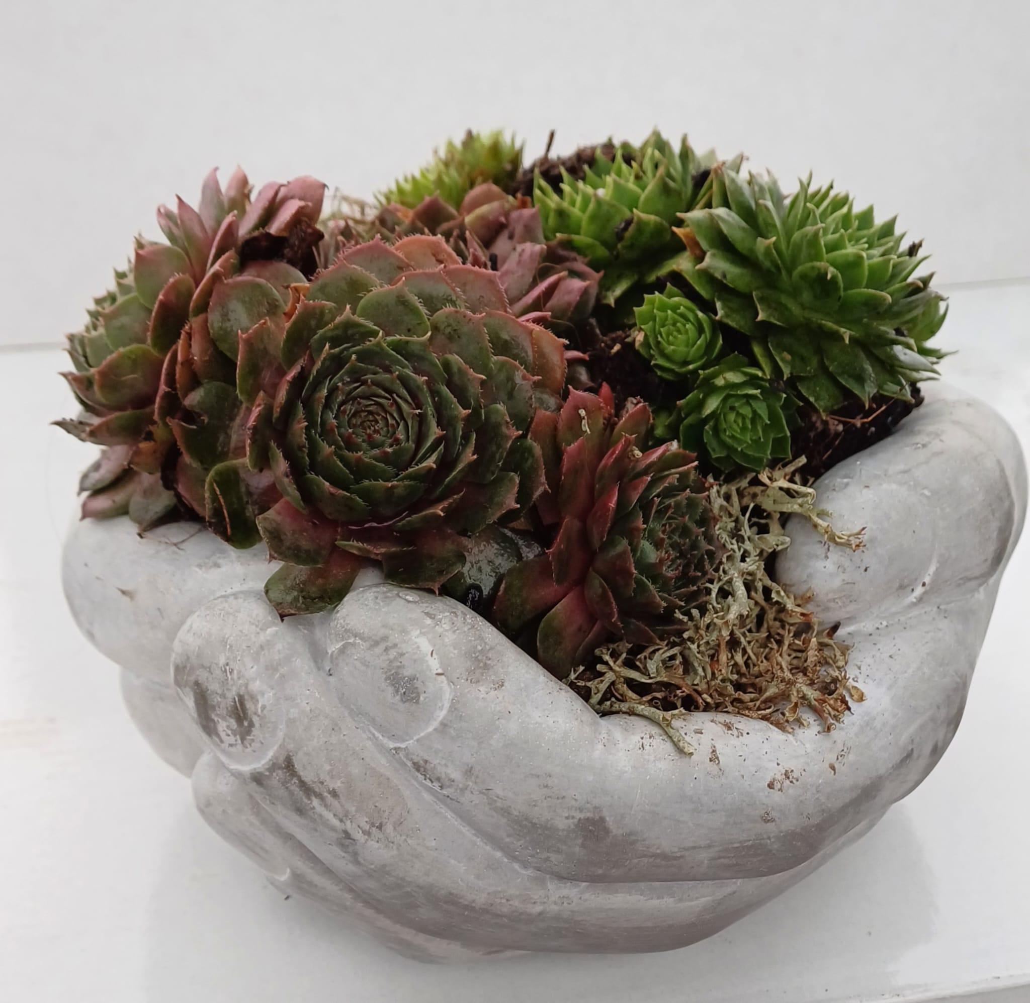 24831e77 efd5 4213 bd97 1576c32eb117