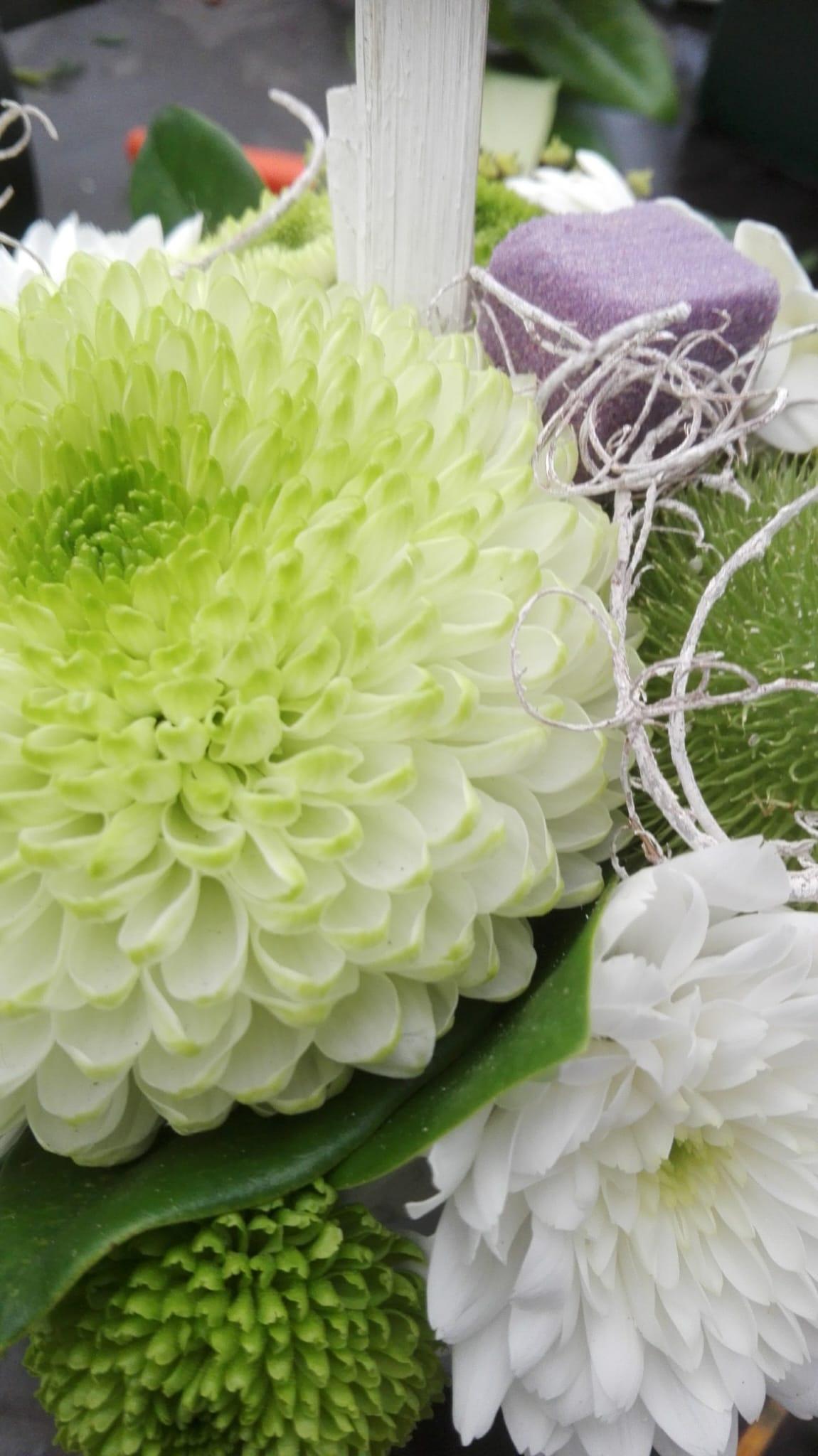 5c50c1e3 6051 432d bb03 12fac5de0cf5