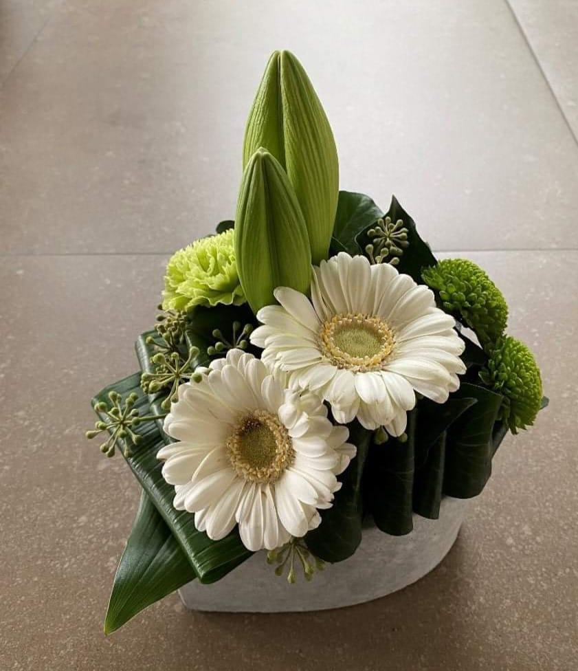 708f23b9 6476 46c6 a369 3be2d5fb8681