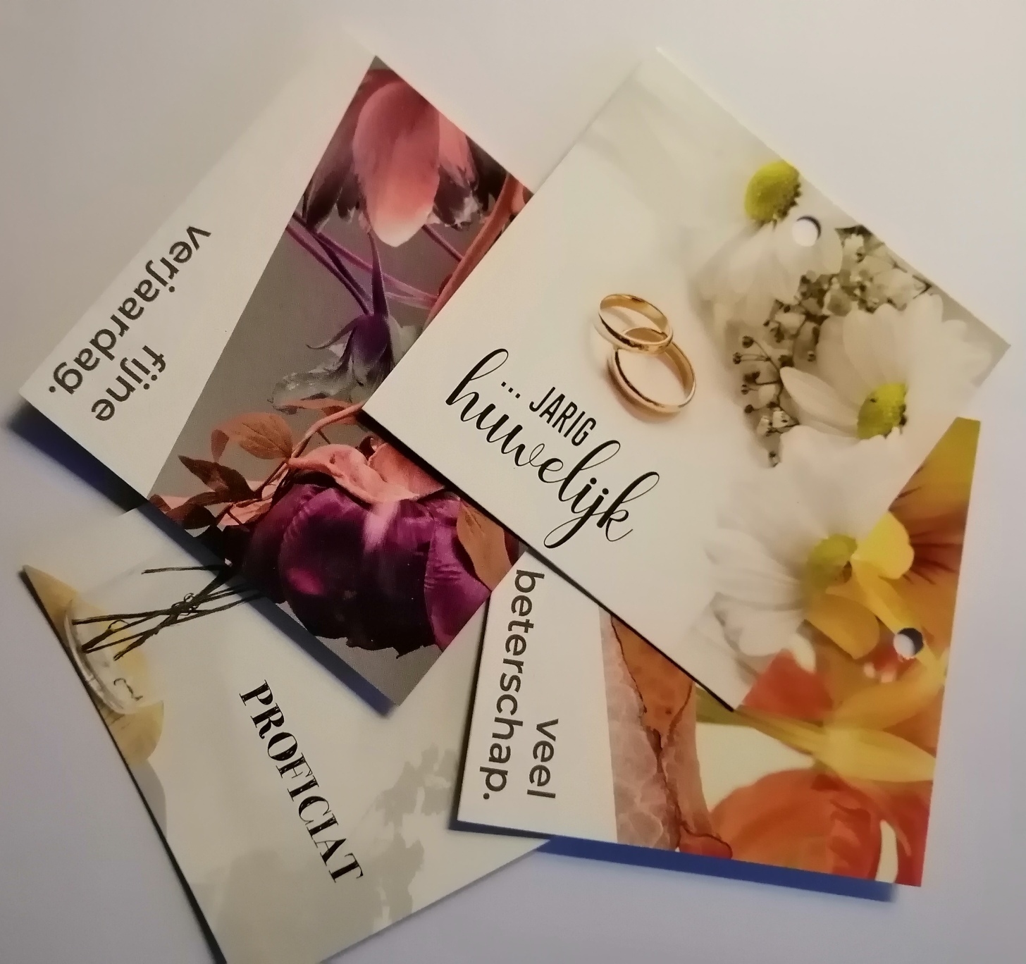 IMG 20230218 172410 edit 123130096906211 resized 20230218 053755982 kopie