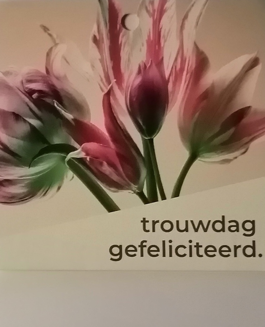 IMG 20230218 173155 edit 123361279581697