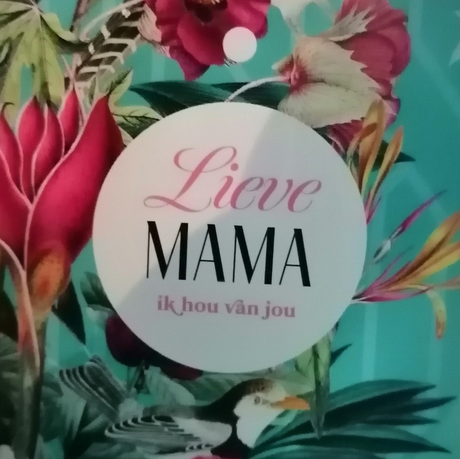 IMG 20230227 204753 edit 140735439321754 resized 20230227 090444010