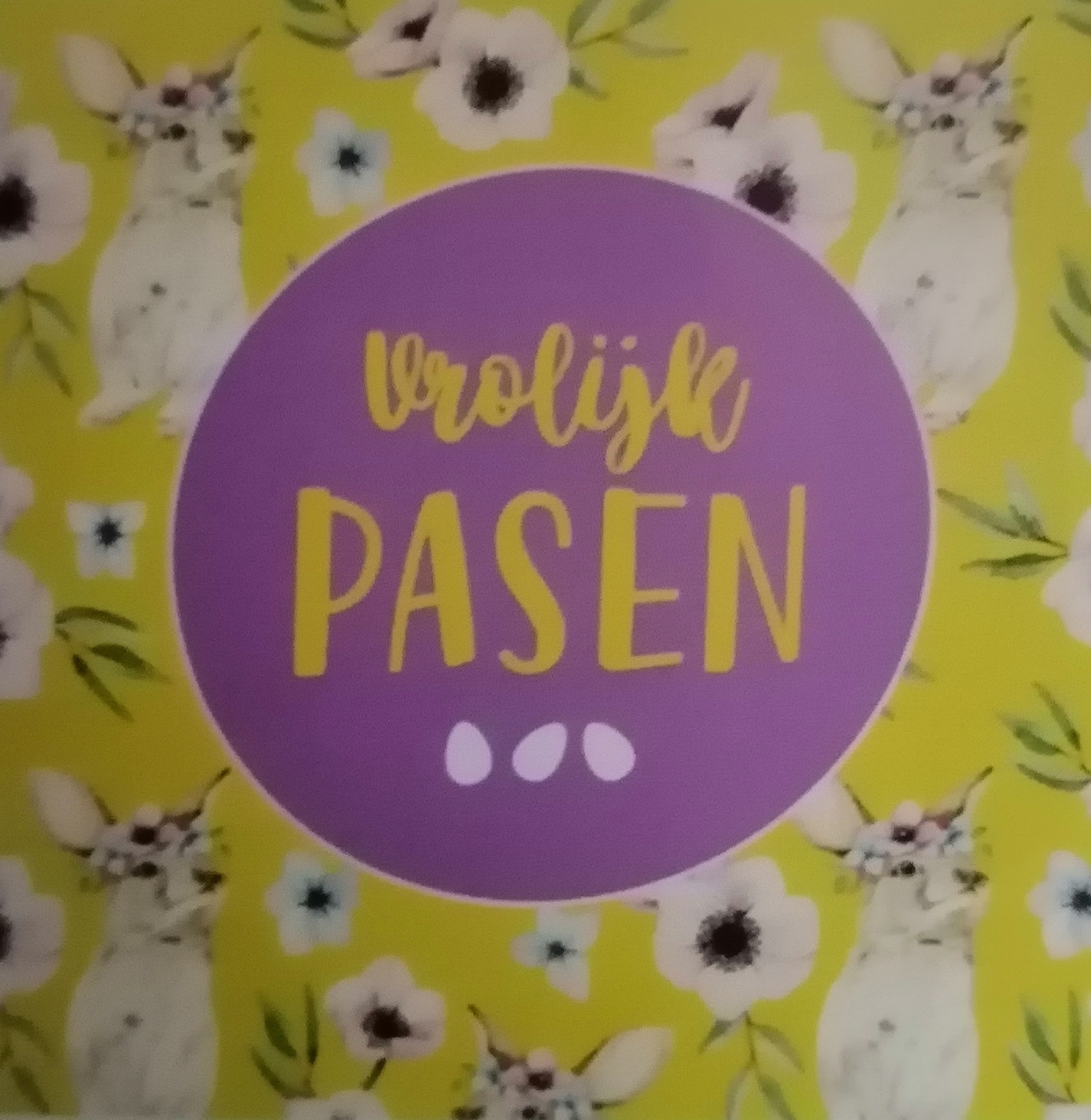 IMG 20230227 204918 edit 140709535511862