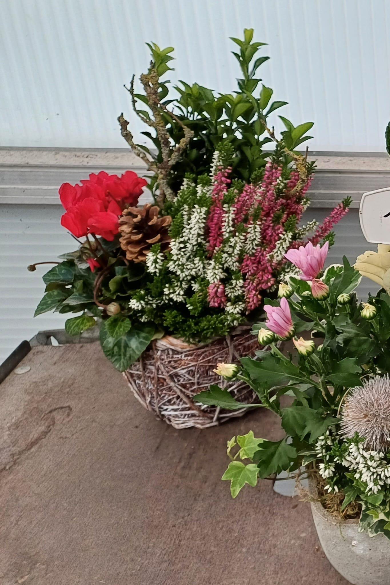 Aacba4b7 ad66 4e89 acf7 8db56505341c