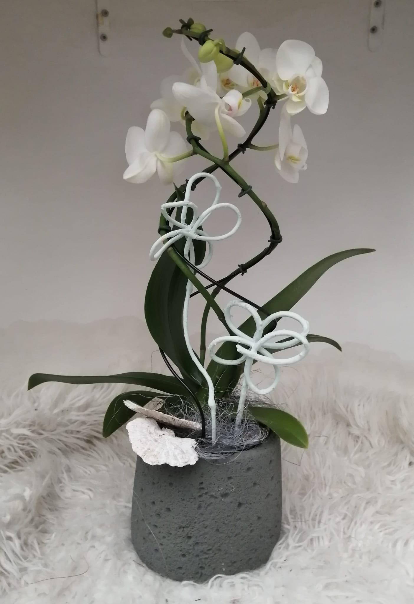 D74be2b3 96b3 45e4 9e18 f2f51d730de6