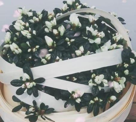 F2d65e00 dc7d 49d7 9f86 27b046214650