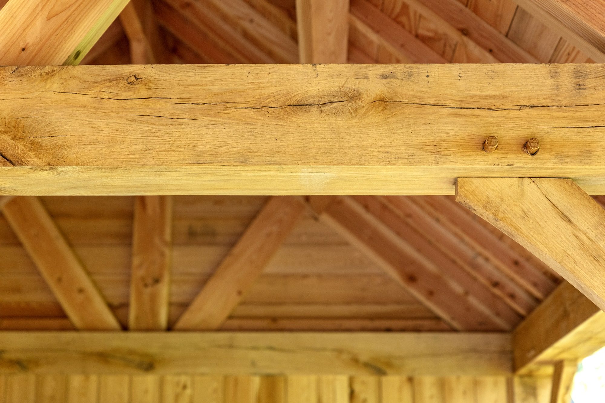 Candek Oak032 min kopie kopie