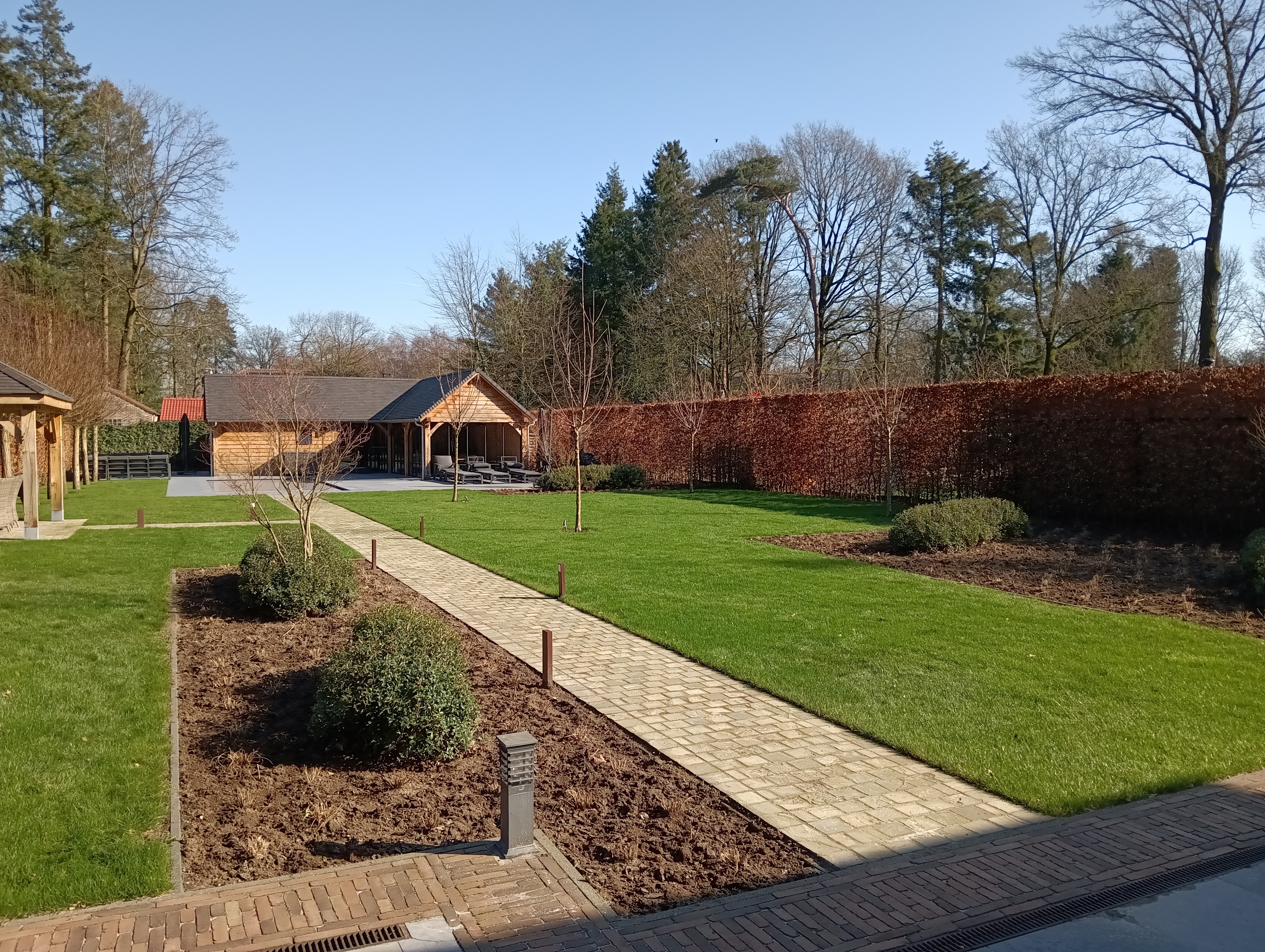 IMG 20240227 123158867