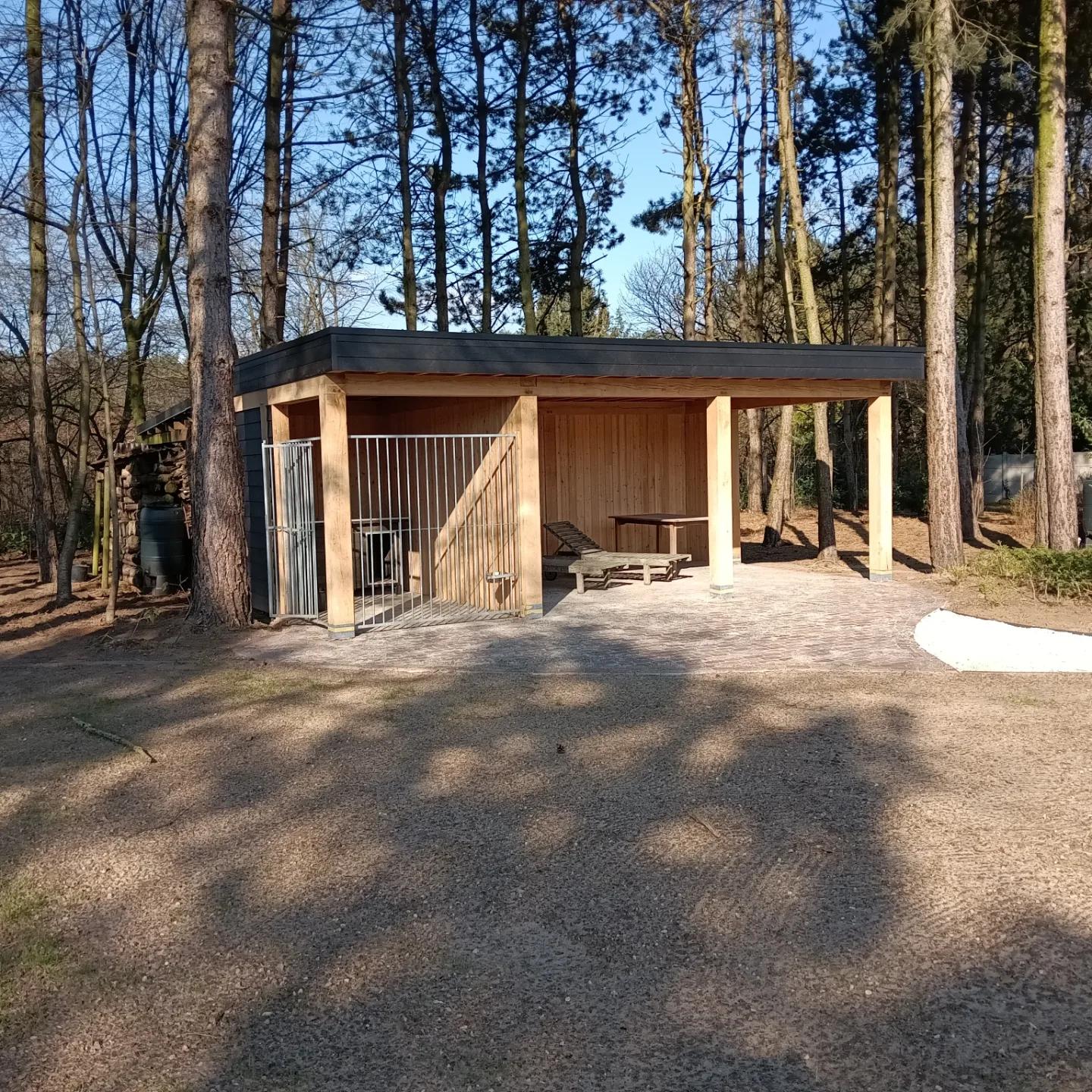 IMG 20240322 102559 932