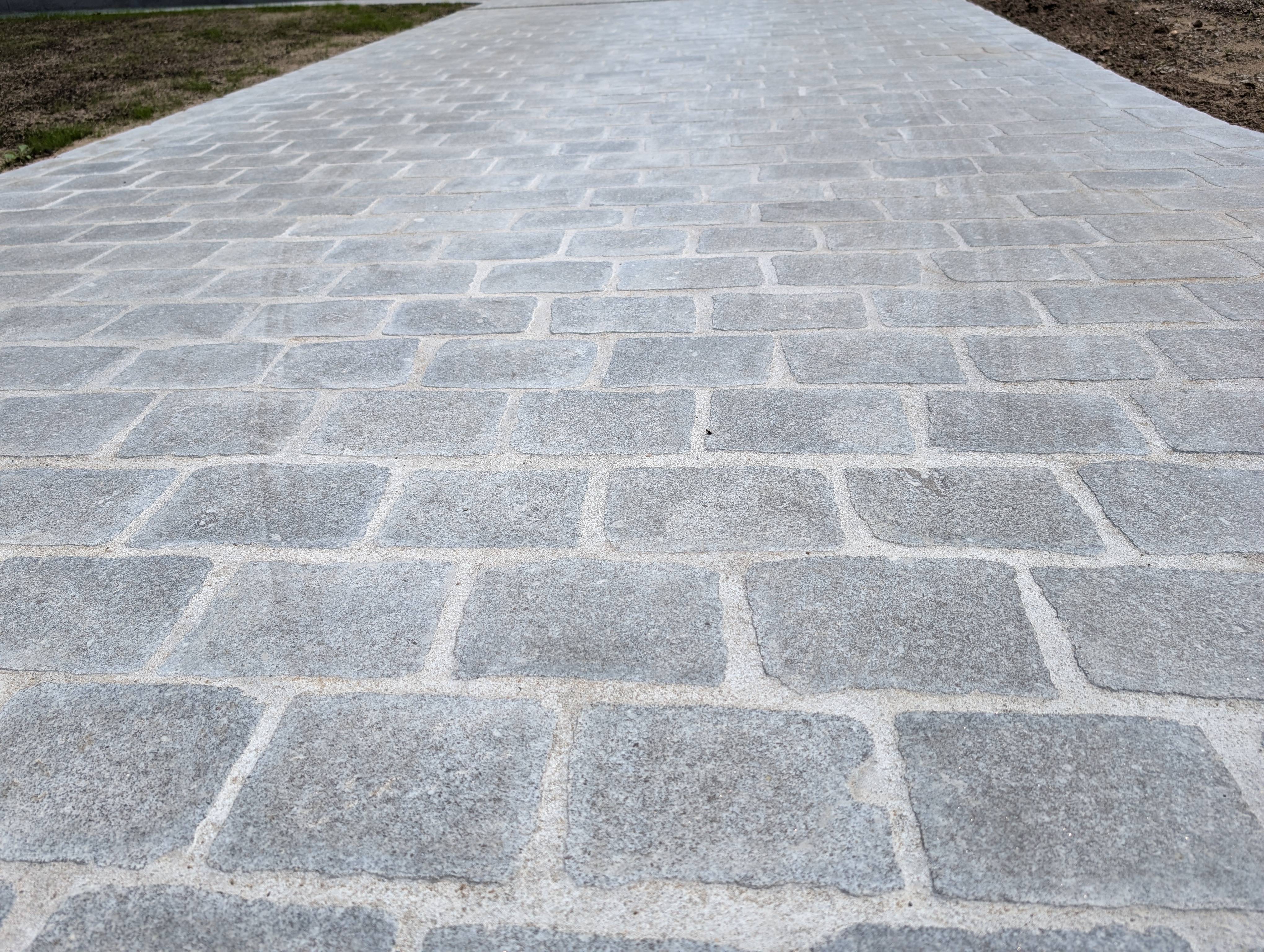 PXL 20240715 133620407