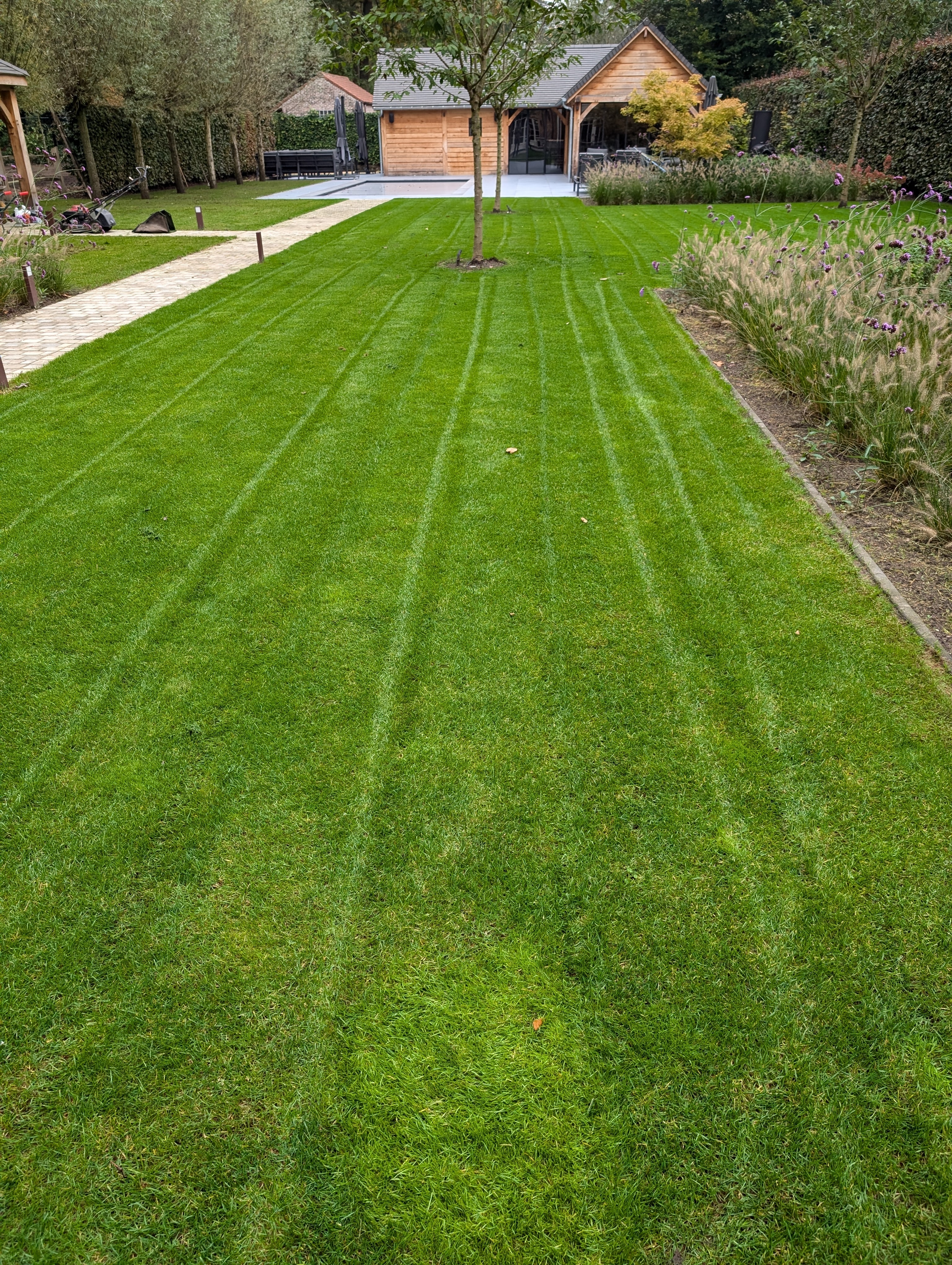 PXL 20241015 082409297