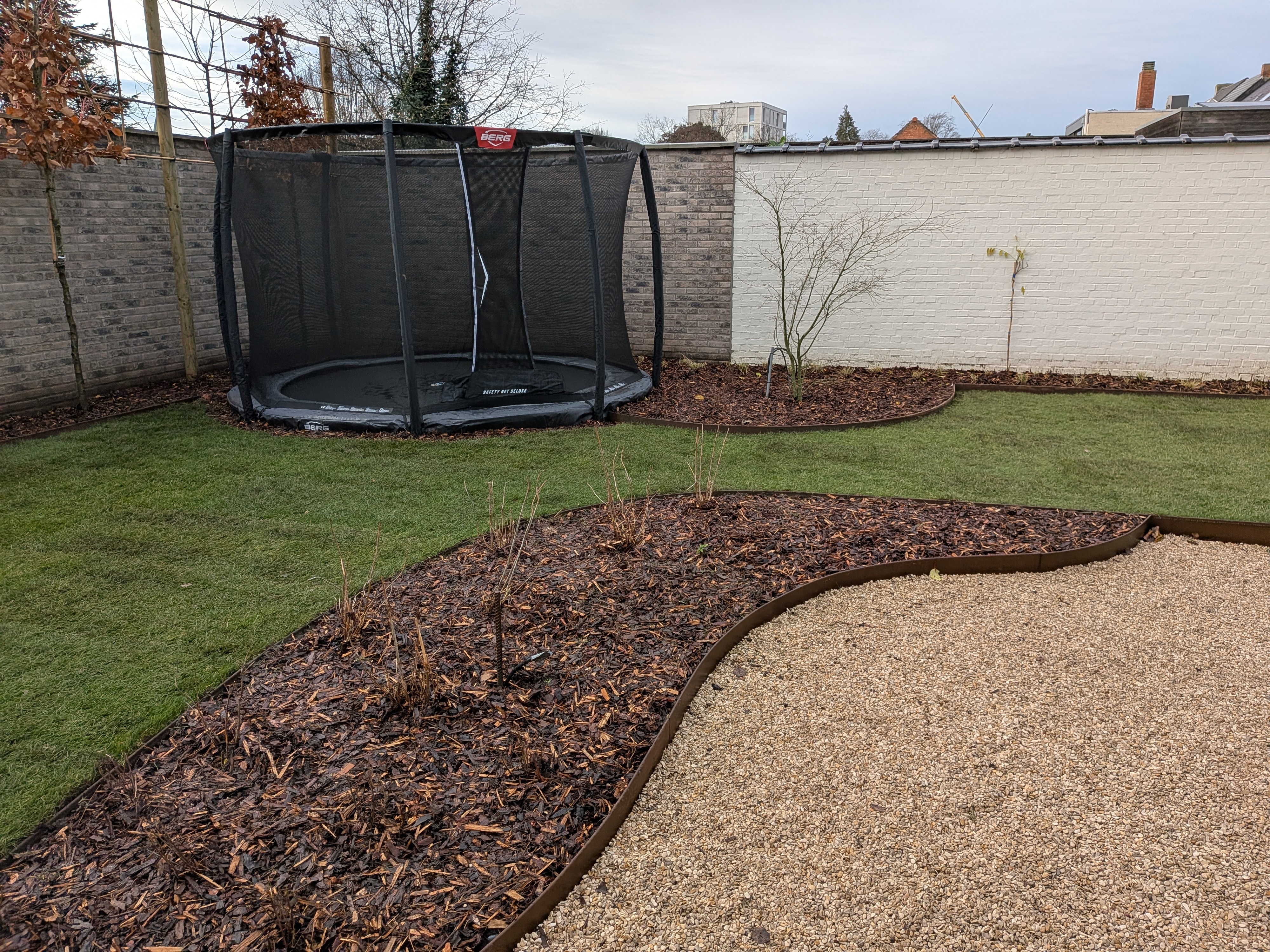 PXL 20251209 092533711