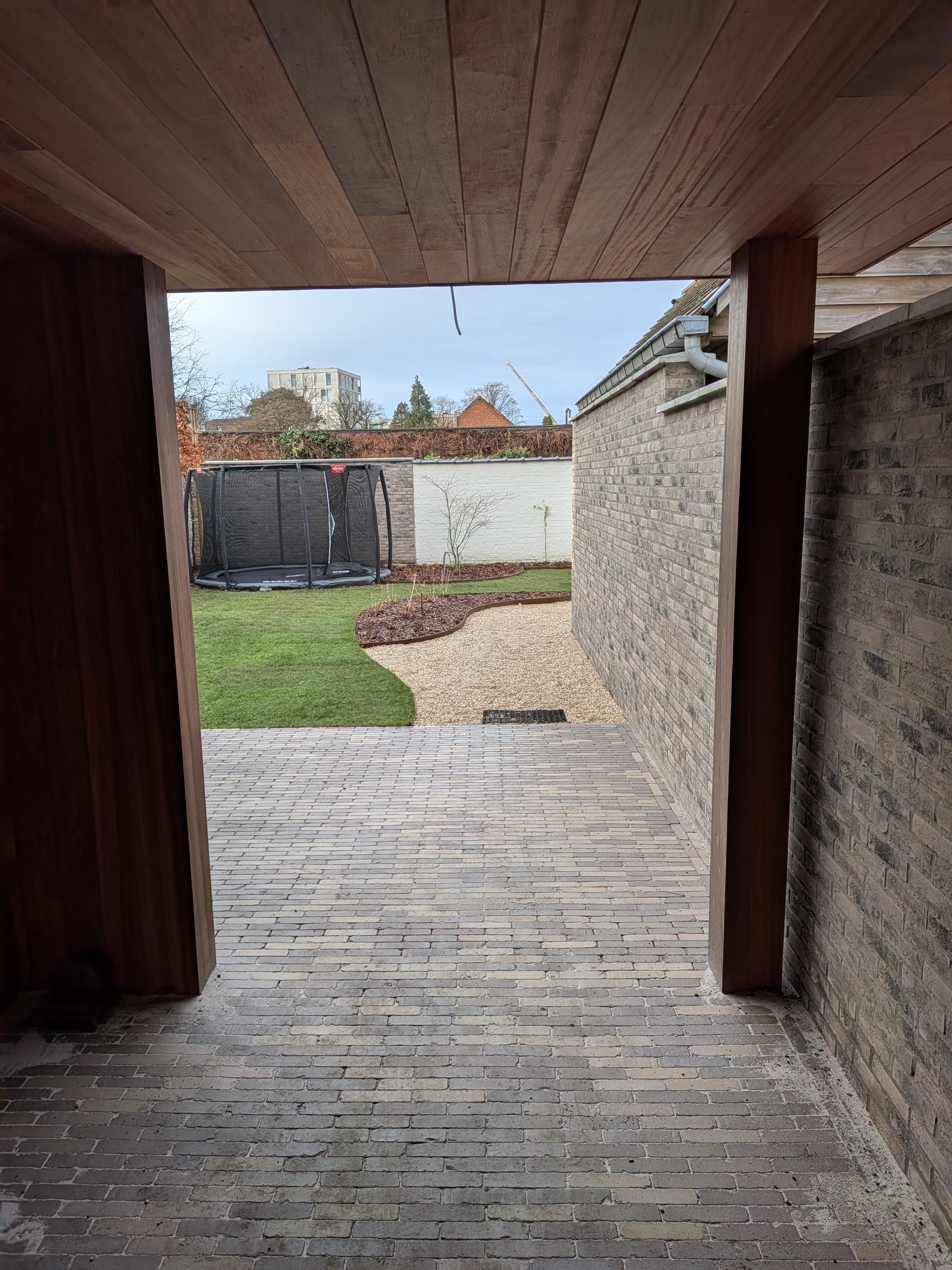 PXL 20251209 092953377