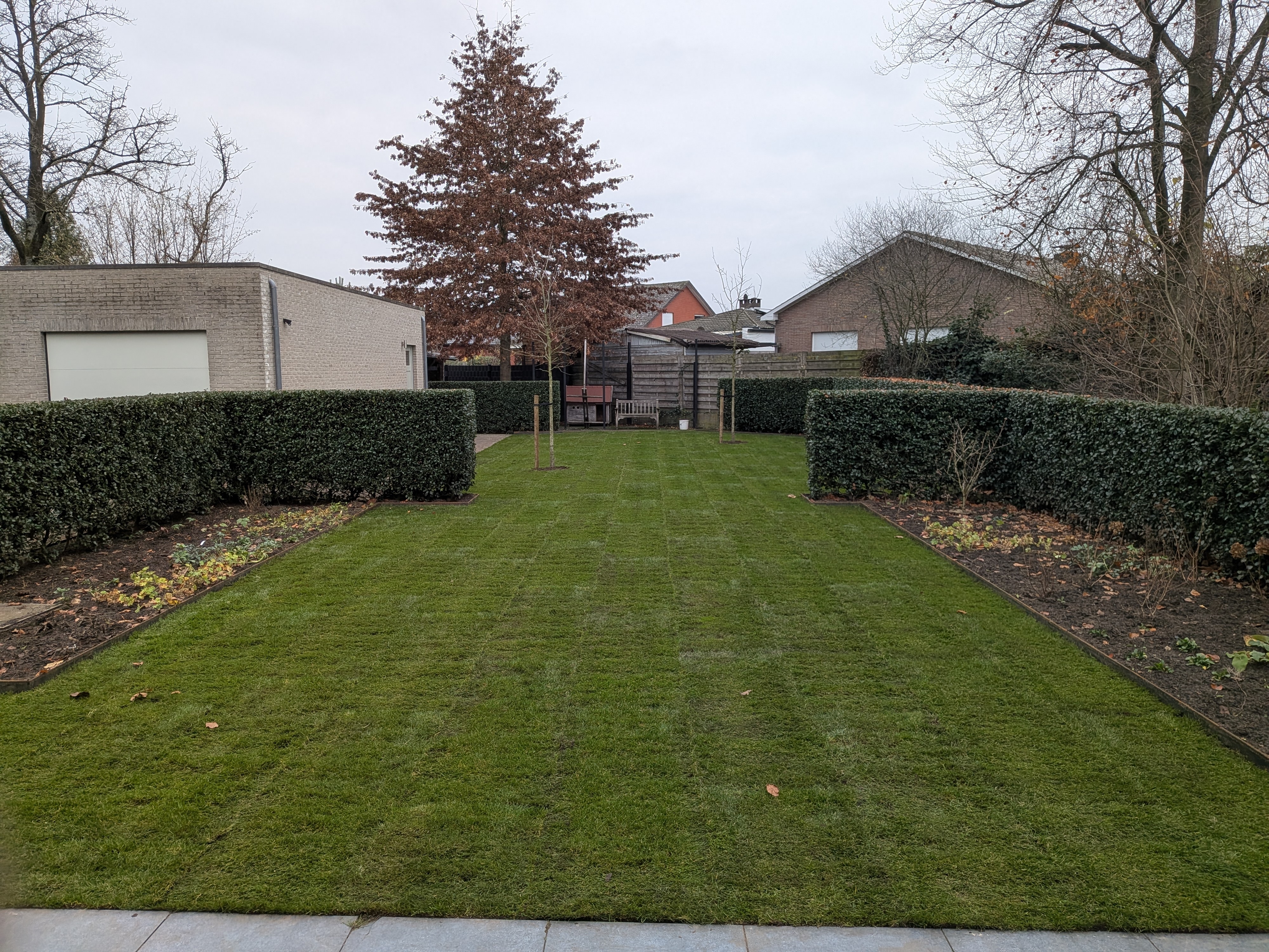 PXL 20251212 135629887